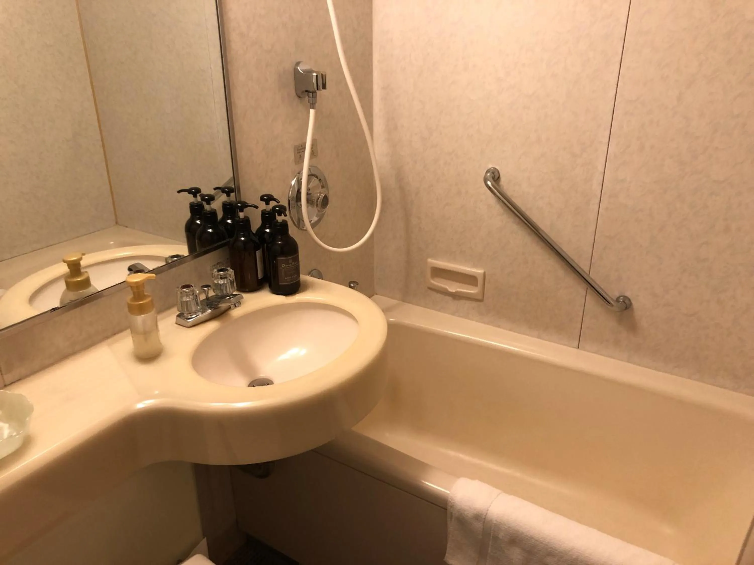 Corner Double Room - single occupancy - Smoking in Rembrandt Hotel Tokyo-Machida