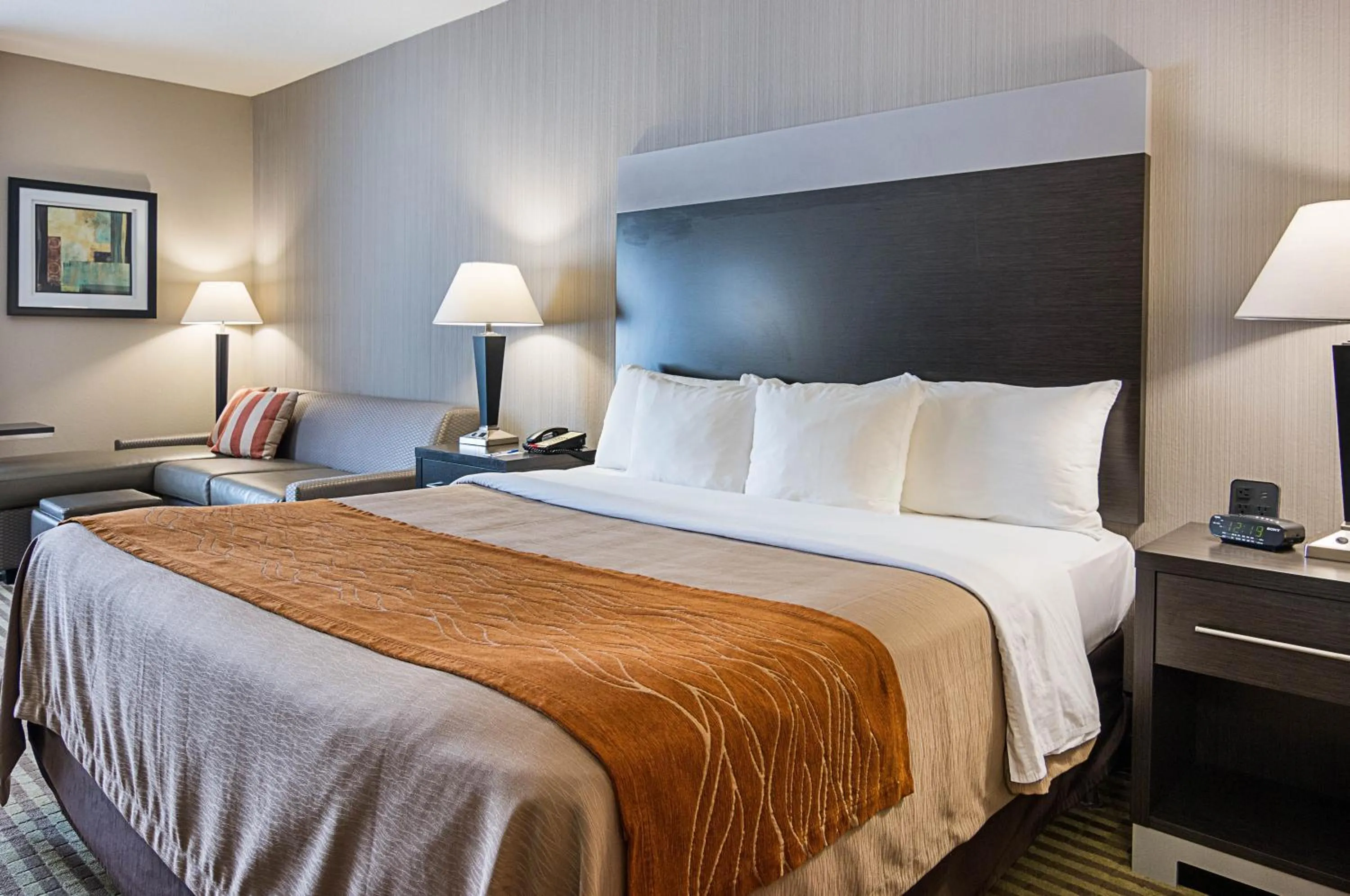 Standard King Room - Non-Smoking  in Comfort Inn Camden