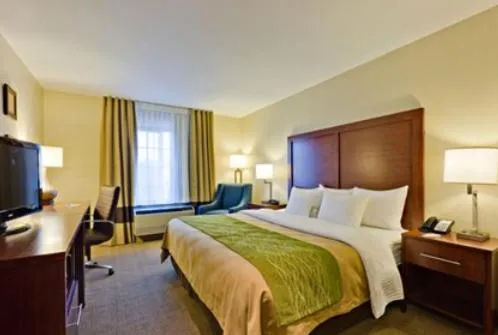 King Room with Sofa Bed- Non Smoking in Comfort Inn & Suites