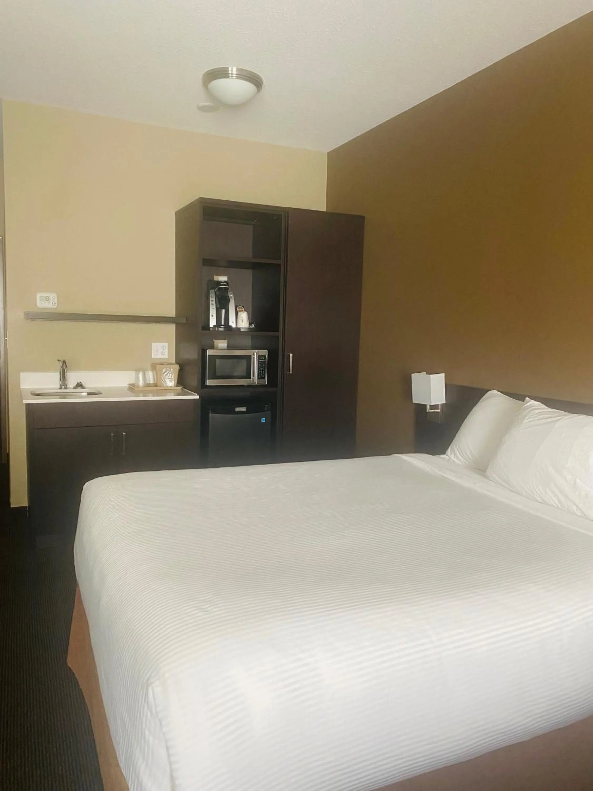 One-Bedroom Queen Suite - Non-Smoking in Microtel Inn & Suites by Wyndham Whitecourt