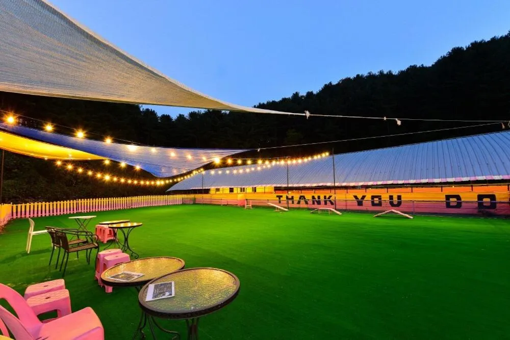 Thank you dog pet pension