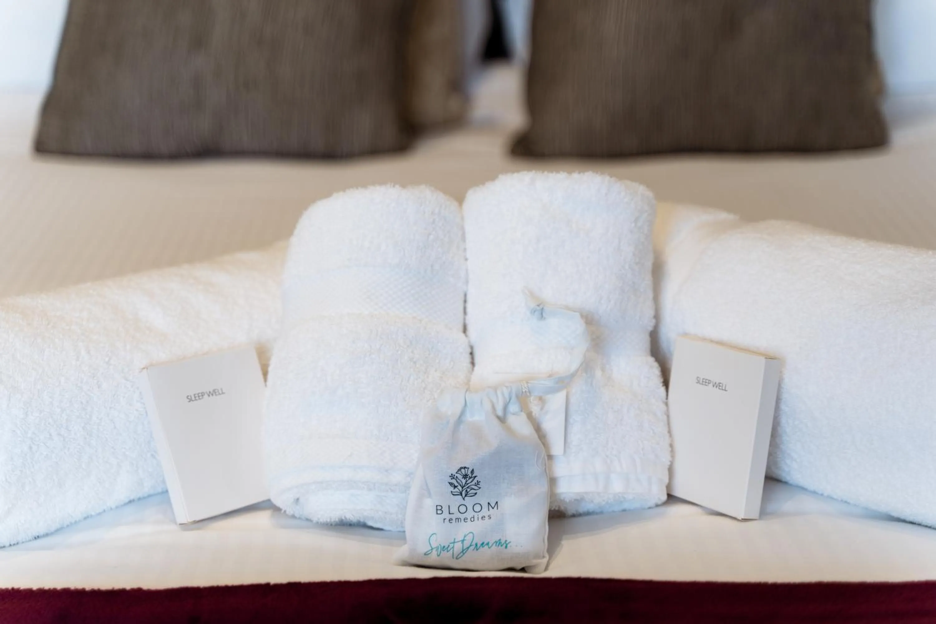 Standard Twin Room with Sea View in The Land's End Hotel