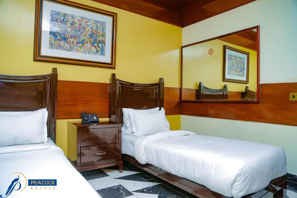 Standard Twin Room in Peacock Hotel
