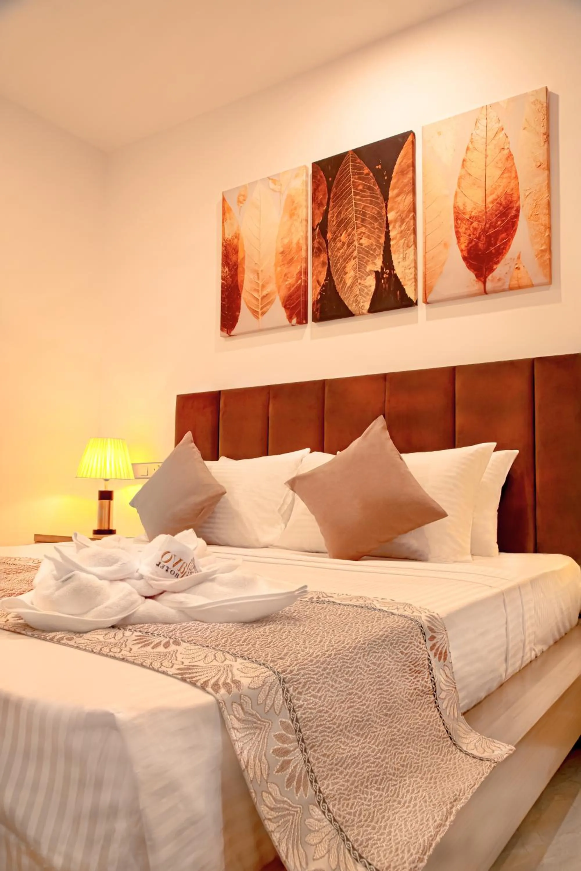 Deluxe King Room in Ravo Hotel