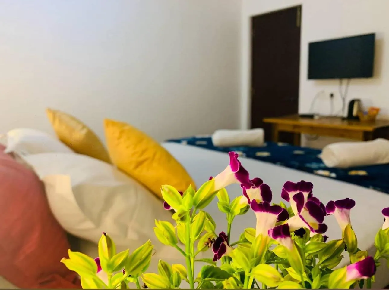 Standard Double Room in The Bodhi Tree Resort