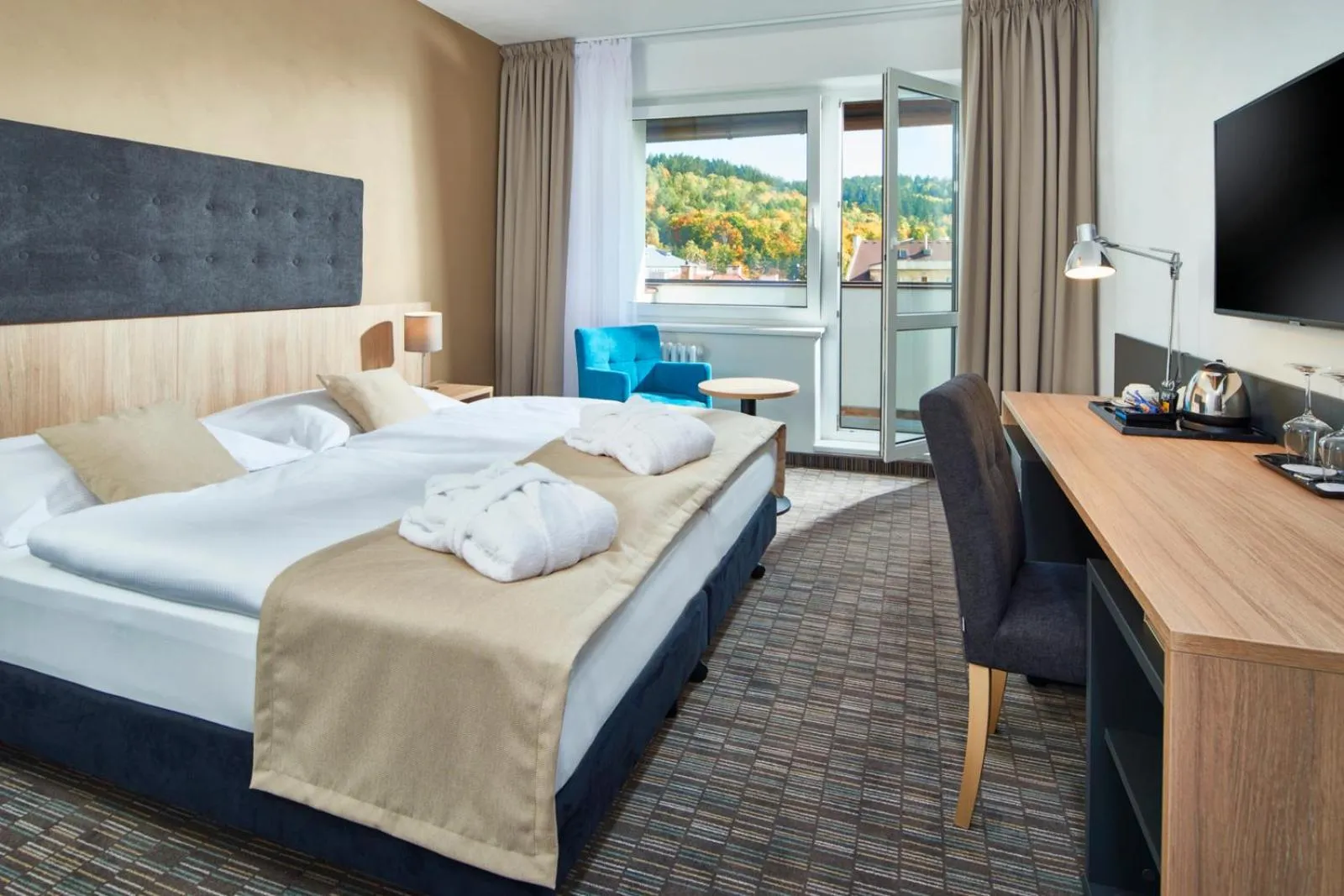 Deluxe Double or Twin Room with Balcony in Spa Hotel Devin