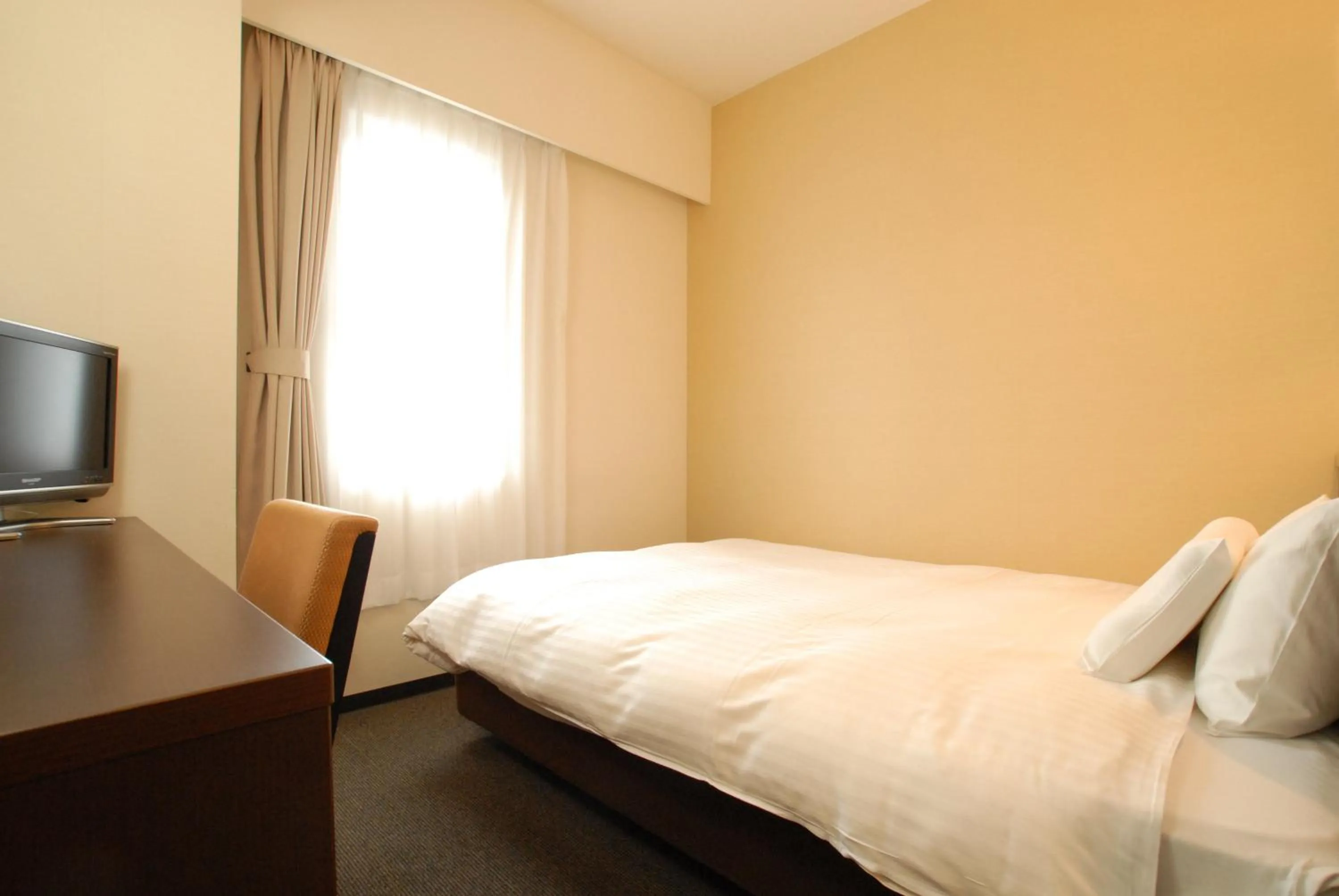 Single Room - Non-Smoking in AB Hotel Okazaki