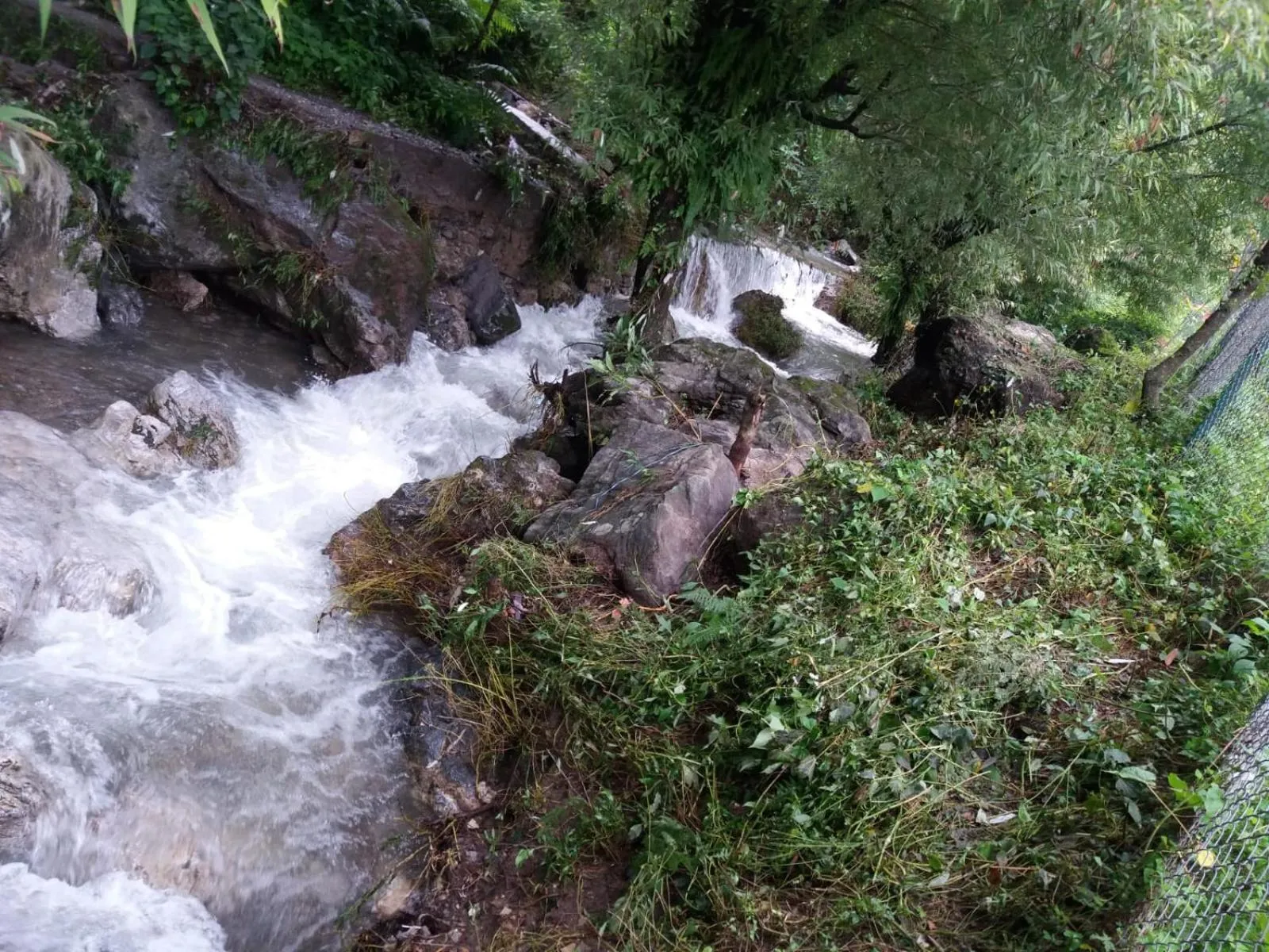 Deluxe Room - single occupancy in NATURE WALK RESORT Mussoorie