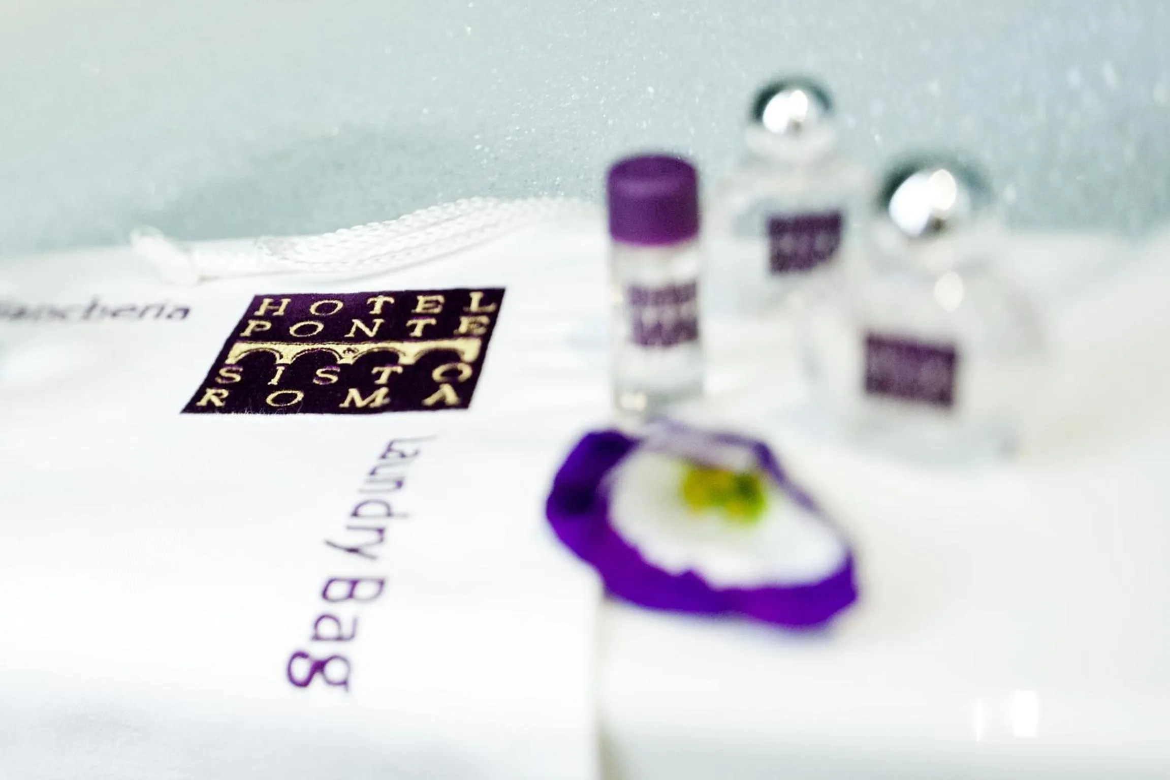 Single Room in Hotel Ponte Sisto