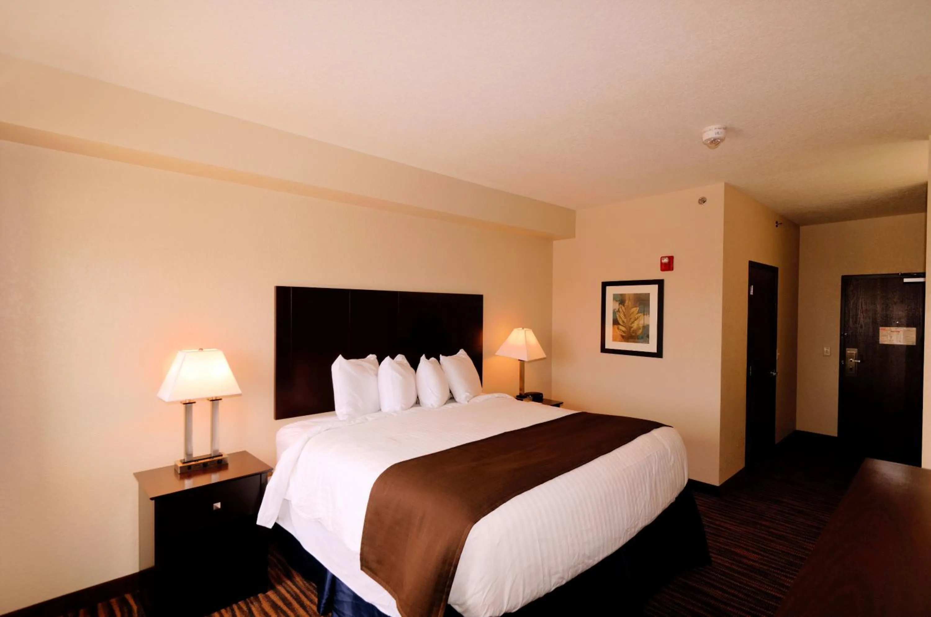 King Room - Disability Access in Cobblestone Inn & Suites - Denison | Oak Ridge
