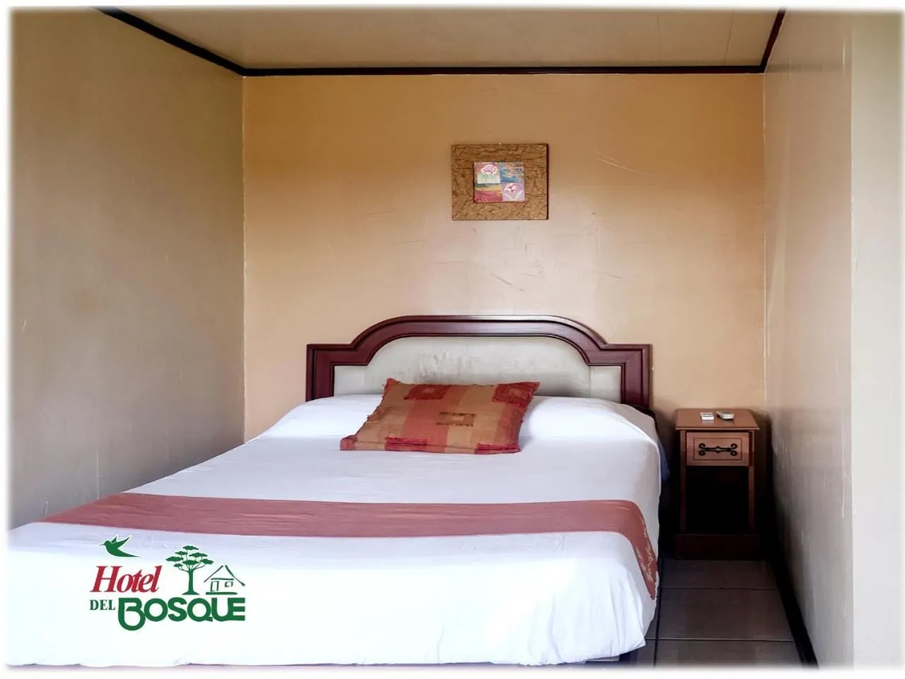 Standard Double Room in Hotel del Bosque