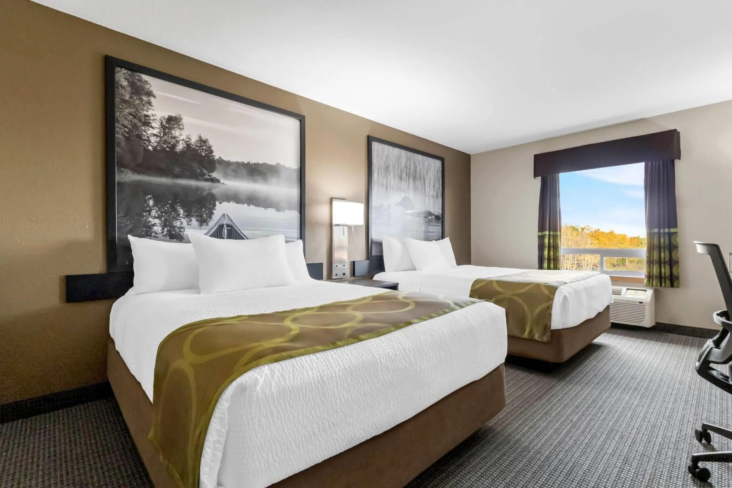 Queen Room with Two Queen Beds - Non-Smoking in Super 8 by Wyndham Prince Albert