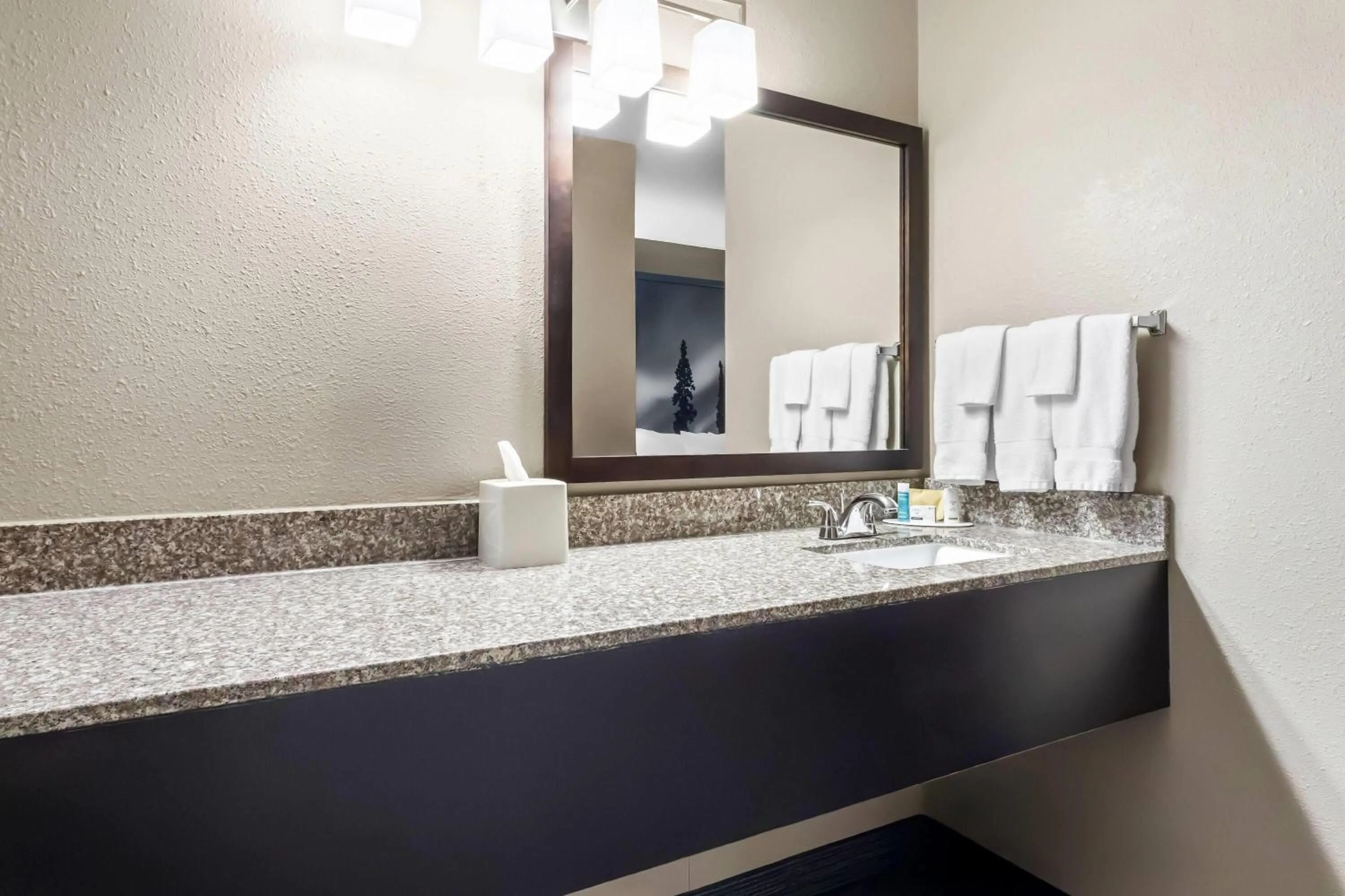 Queen Suite - Non-Smoking in Super 8 by Wyndham Prince Albert