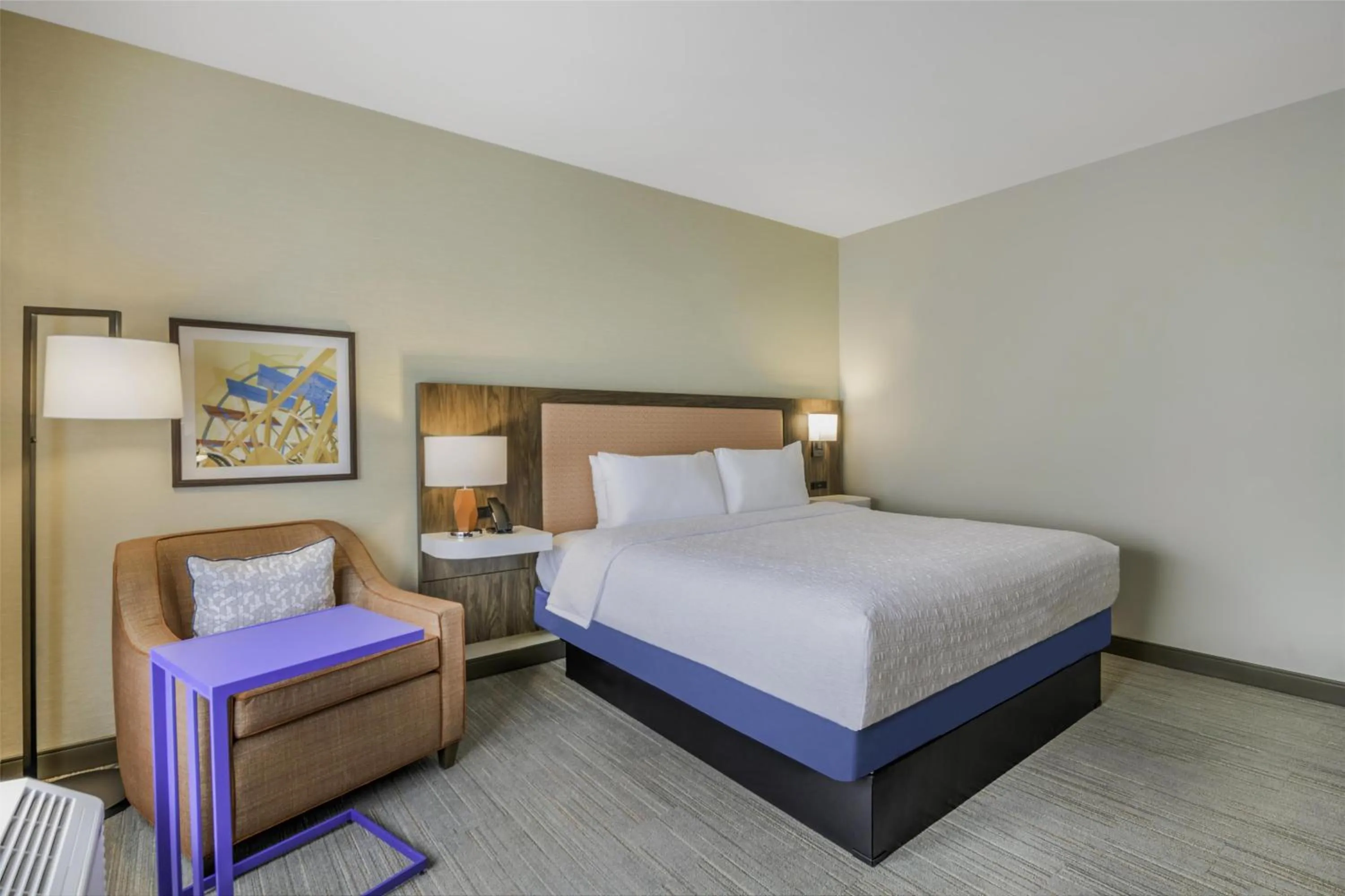 King Room with Microwave and Fridge in Hampton Inn & Suites By Hilton Decatur
