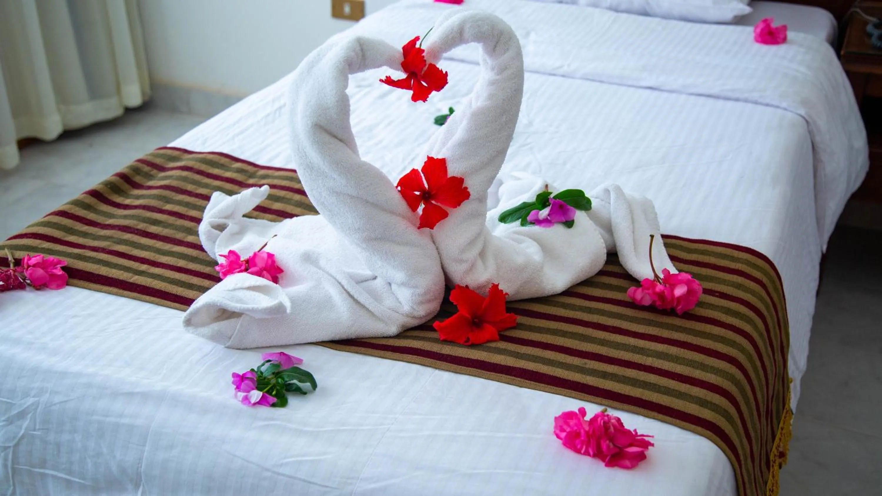 Double Room with Mountain View - single occupancy in Happy Life Village Dahab