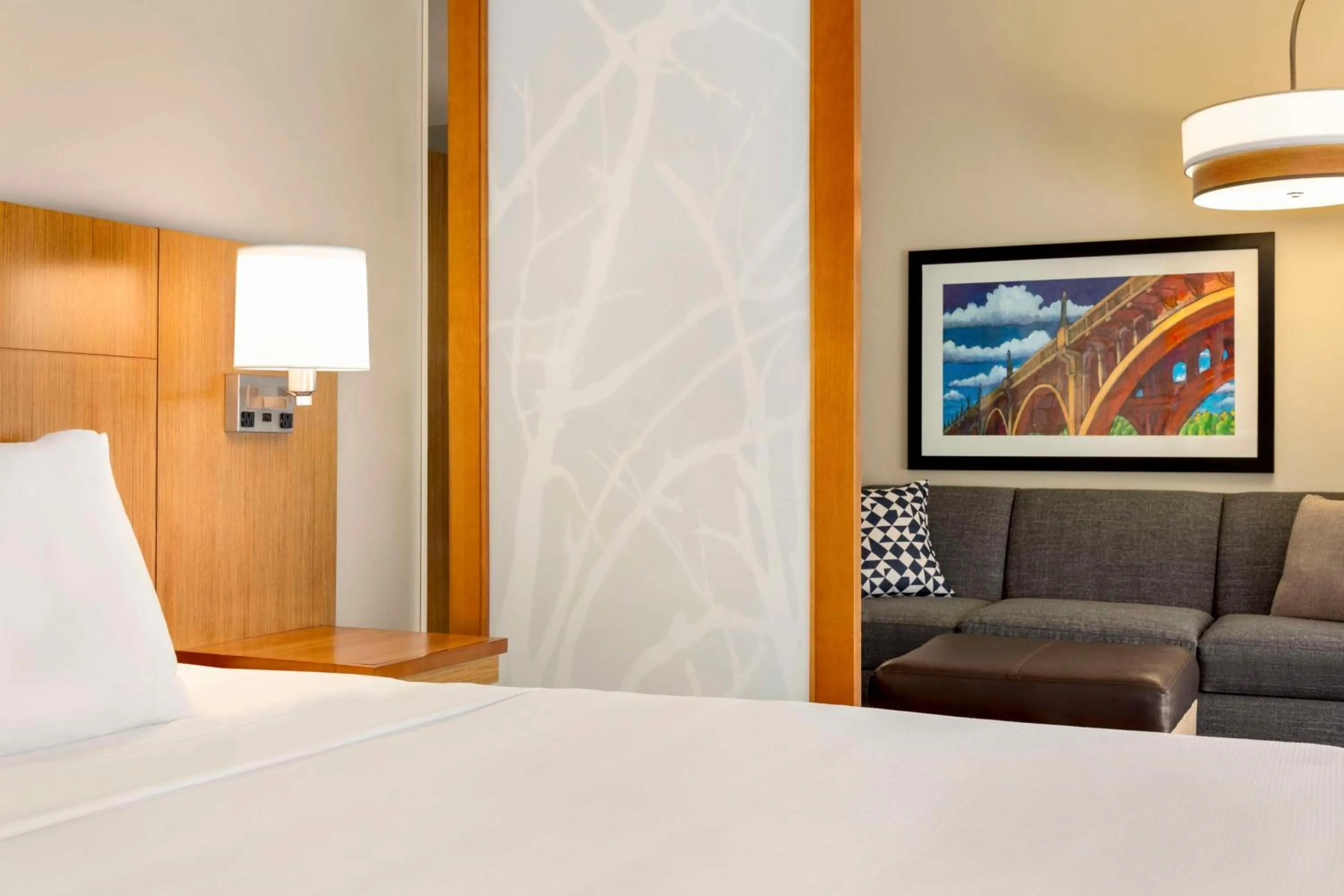 King Studio with Sofa Bed in Hyatt Place Columbia/Downtown/The Vista