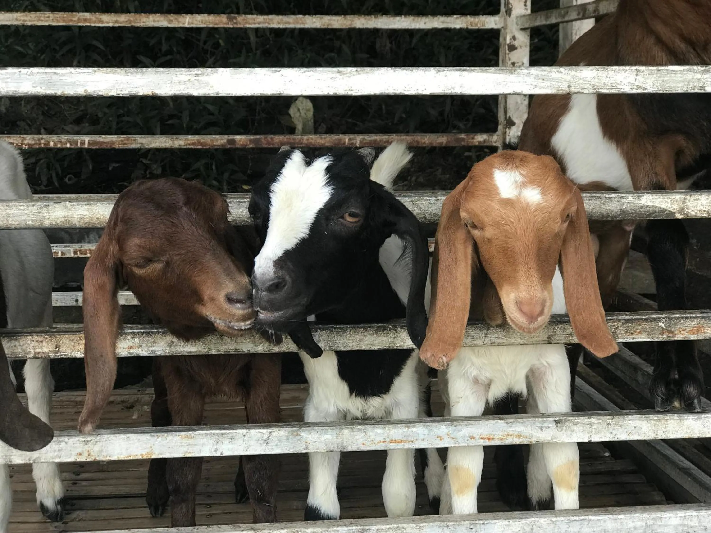 One-Bedroom House in Hua Hin Home Hill