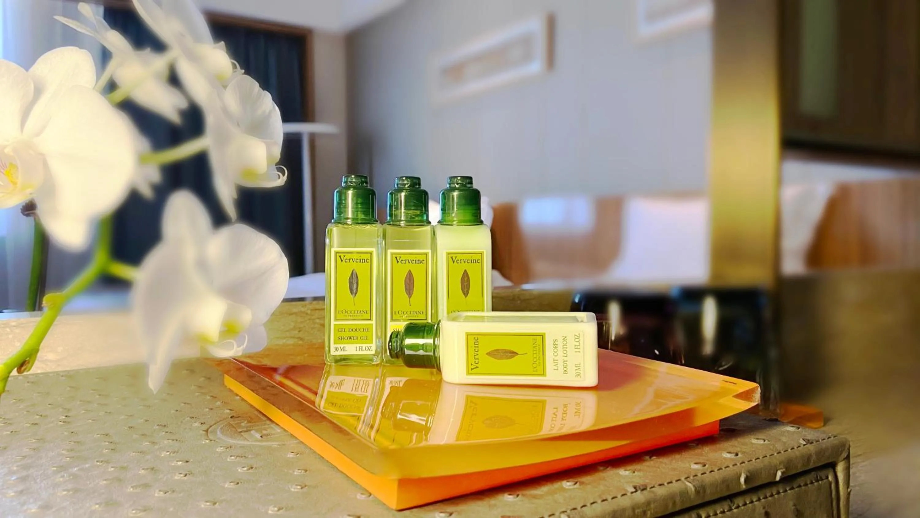 Business Suite (with 2 breakfast) in Yinchuan Xifujing Hotel