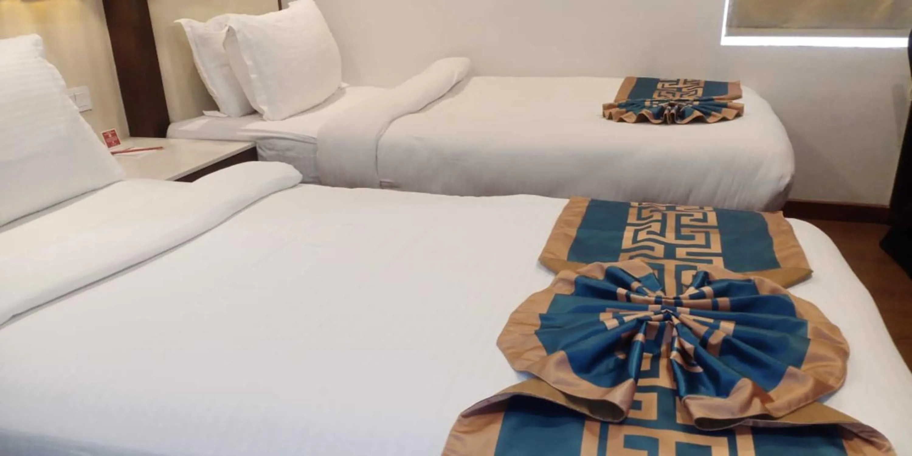 Small Twin Room - single occupancy in Lords Inn Jodhpur