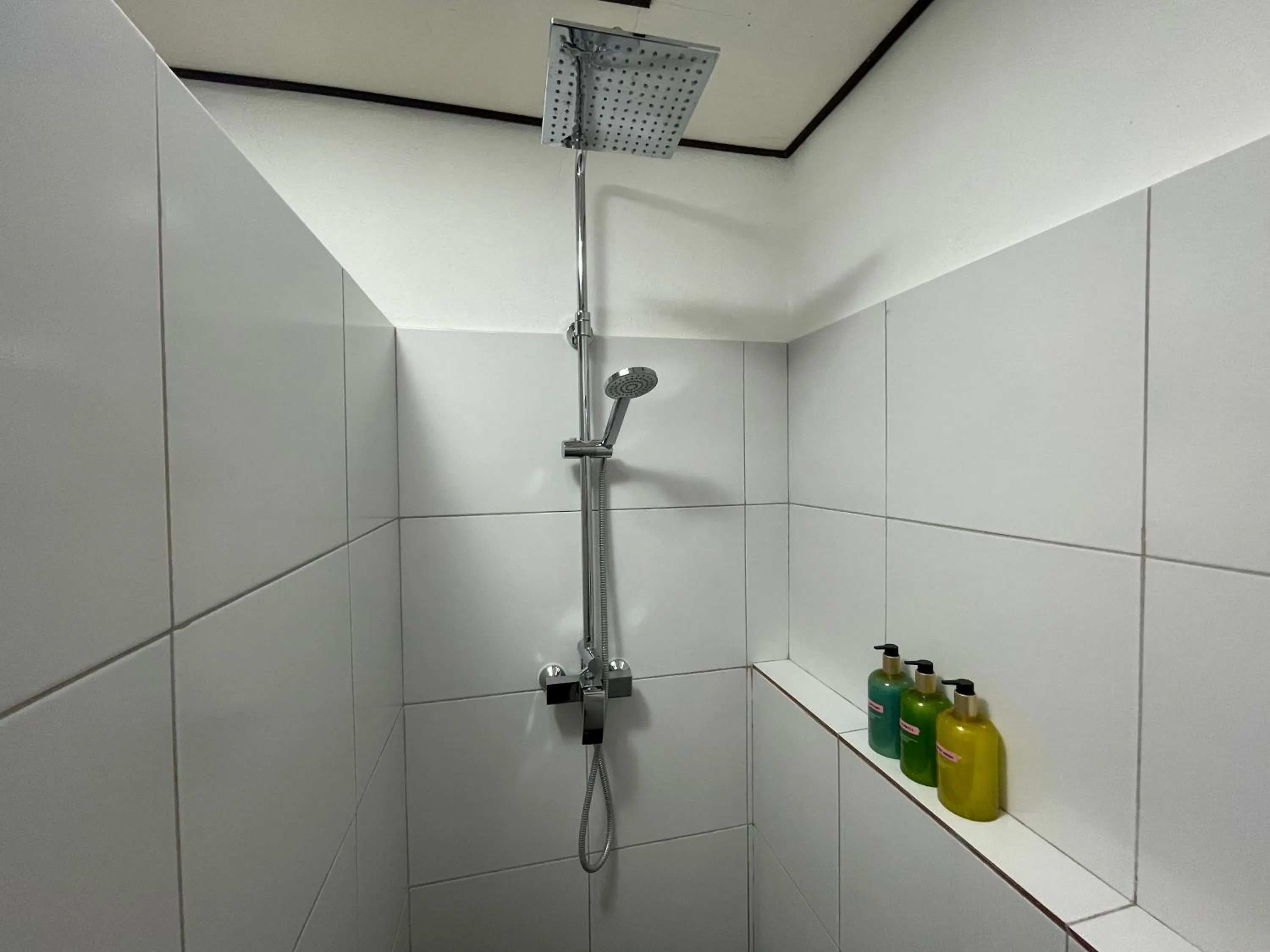 Family Room in Parrot Resort Moalboal