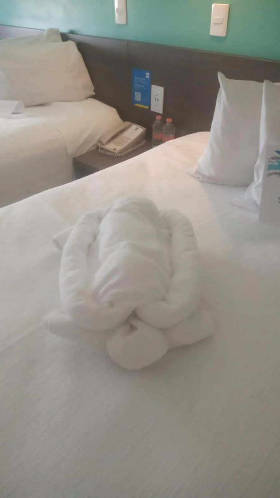 Superior Double Room in One Periferico Sur