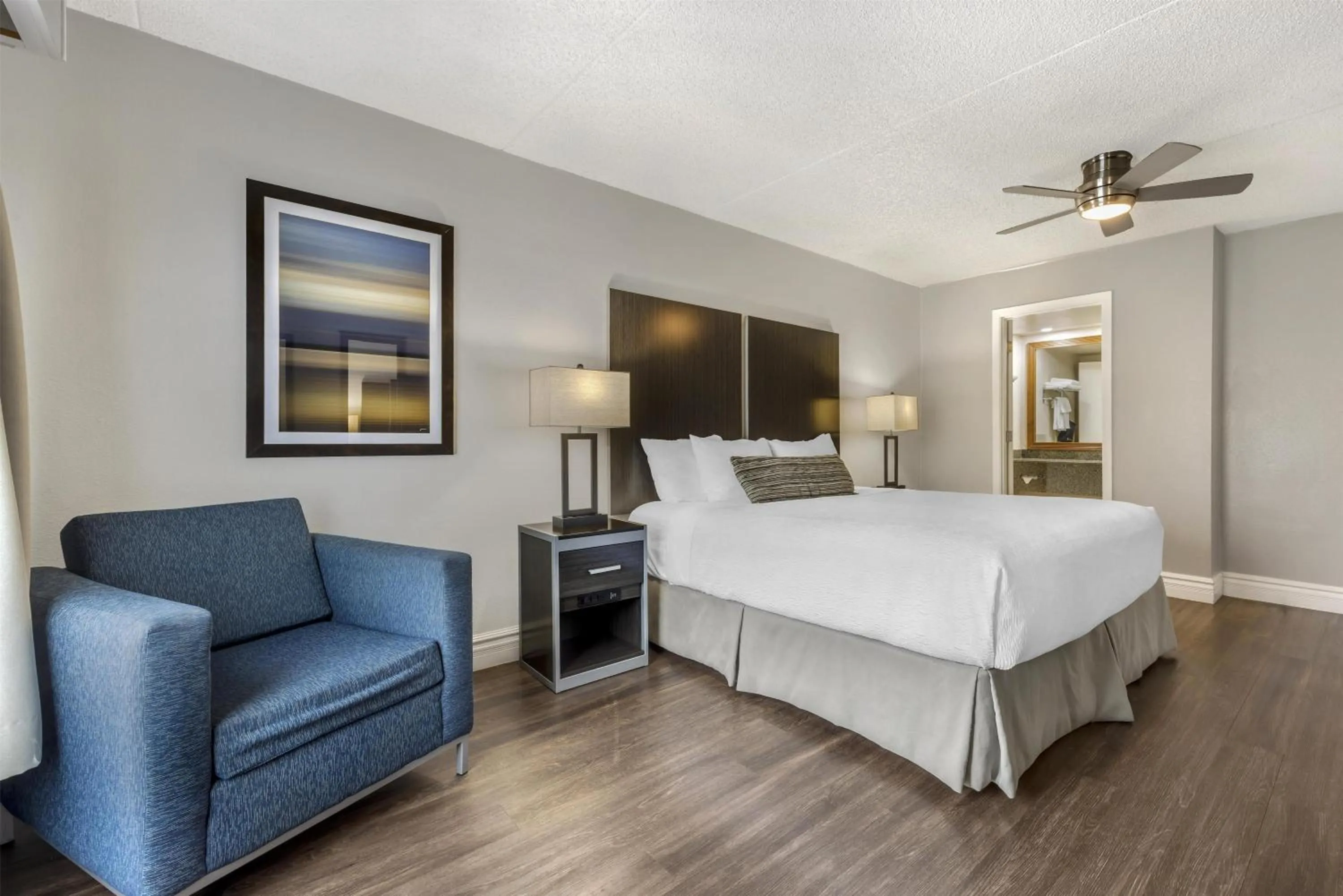 Non-Pet, 1 King Bed, Accessible, Walk-in Shower in Best Western Pier Point Inn