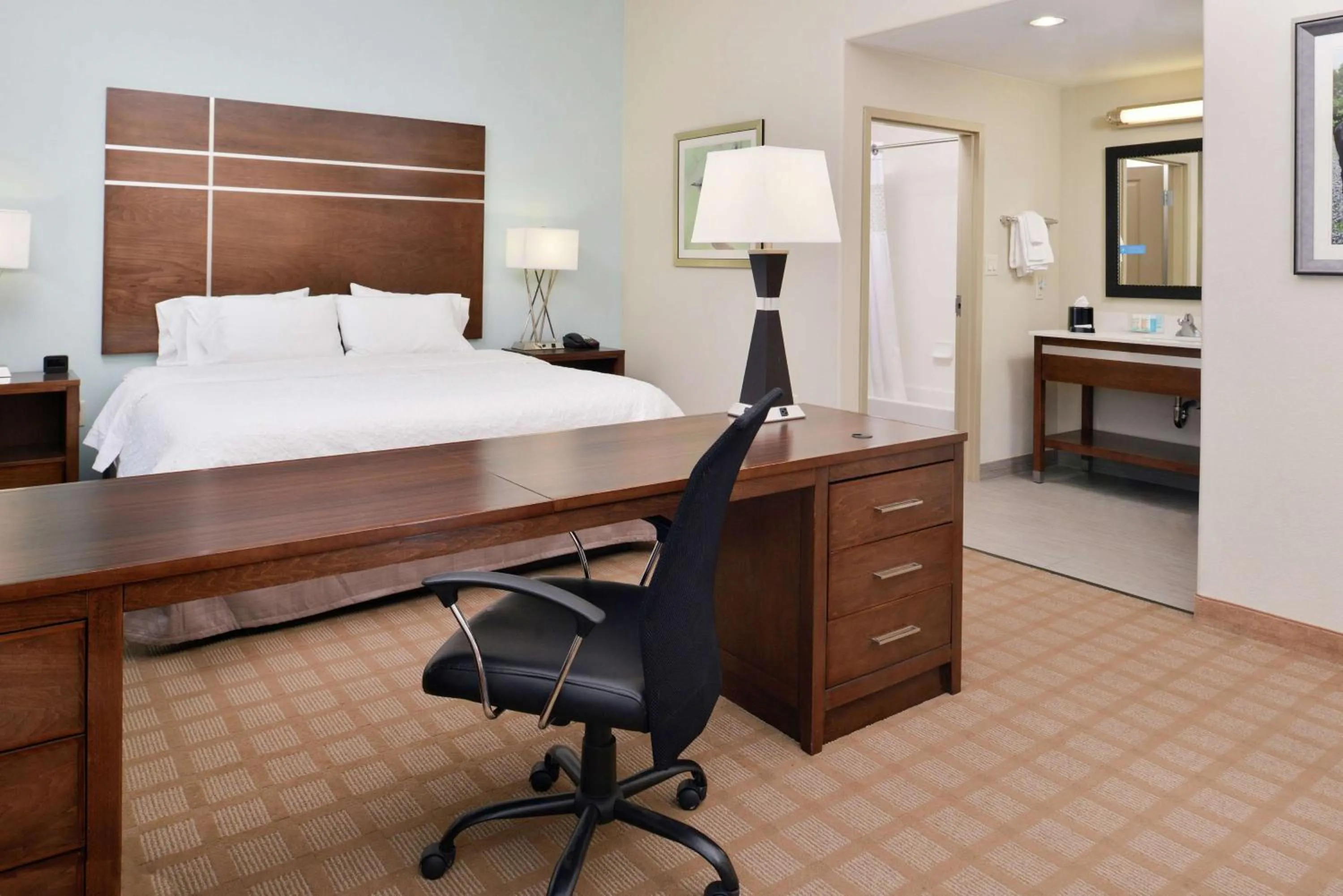 King Studio Suite - Non Smoking in Hampton Inn and Suites Hutto