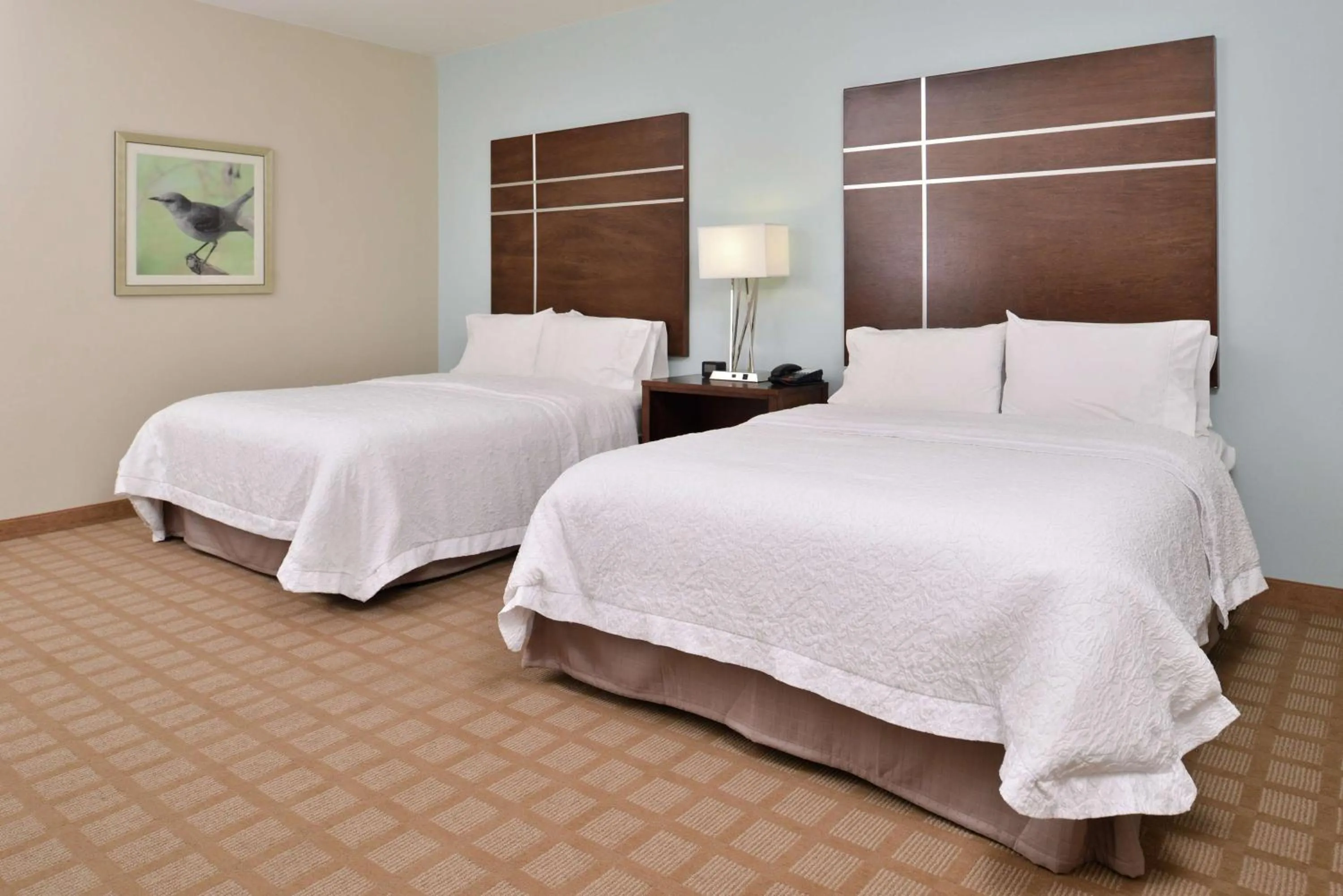 Queen Room with Two Queen Beds - Mobility Access/Non-Smoking in Hampton Inn and Suites Hutto