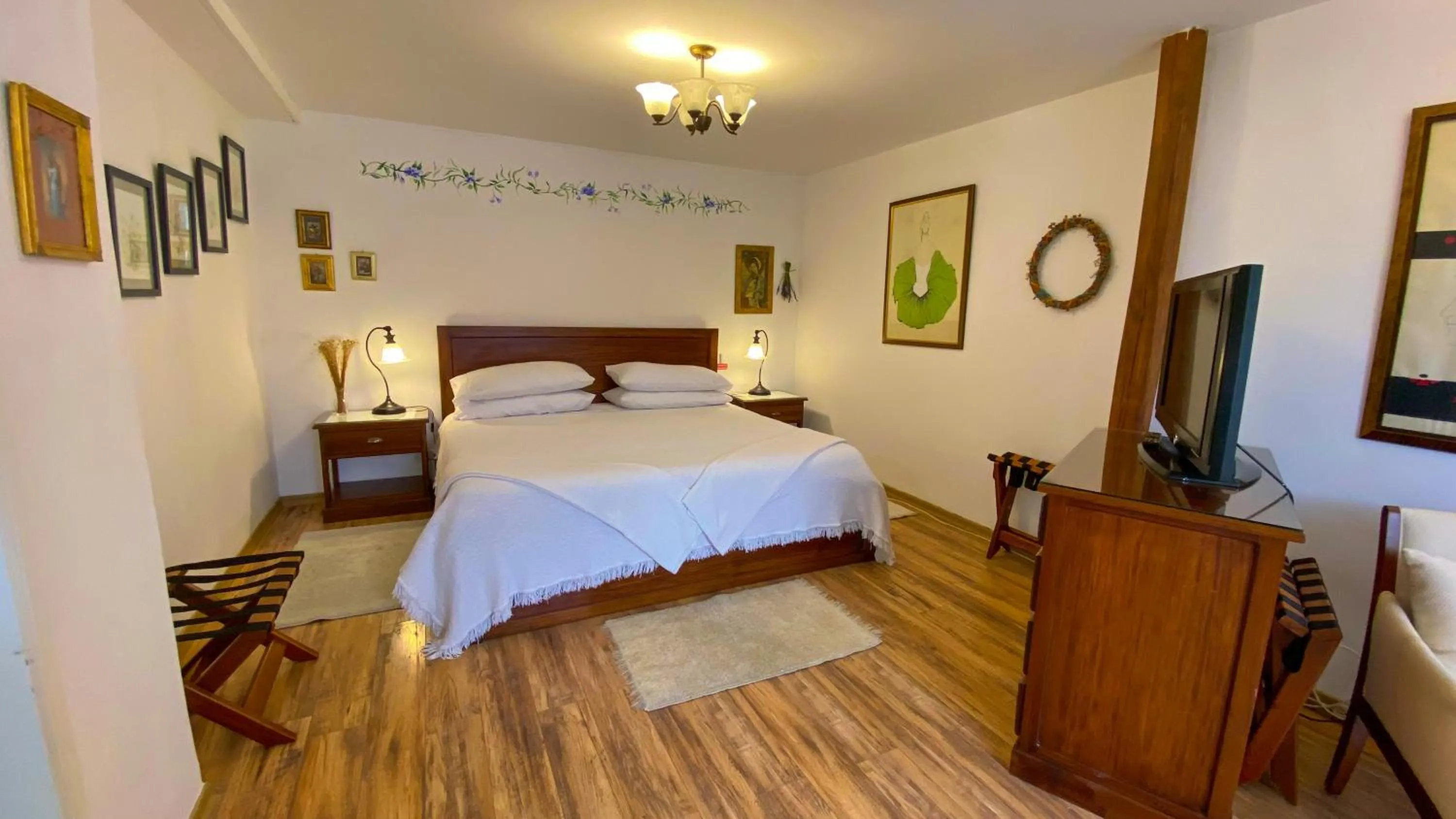 Superior Double Room - single occupancy in Sakti Hostal B&B