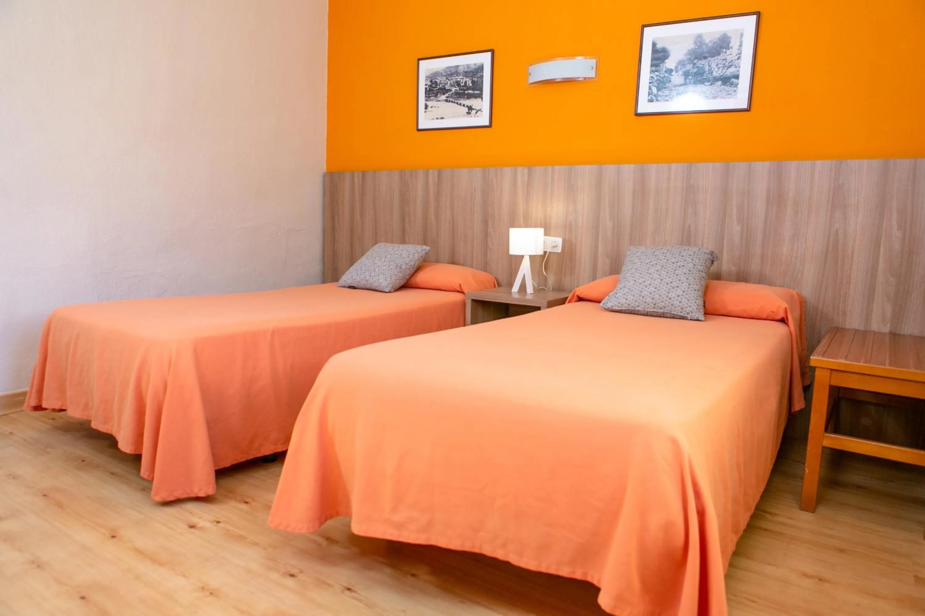 Economy Double Room in Hotel SNÖ Condes del Pallars