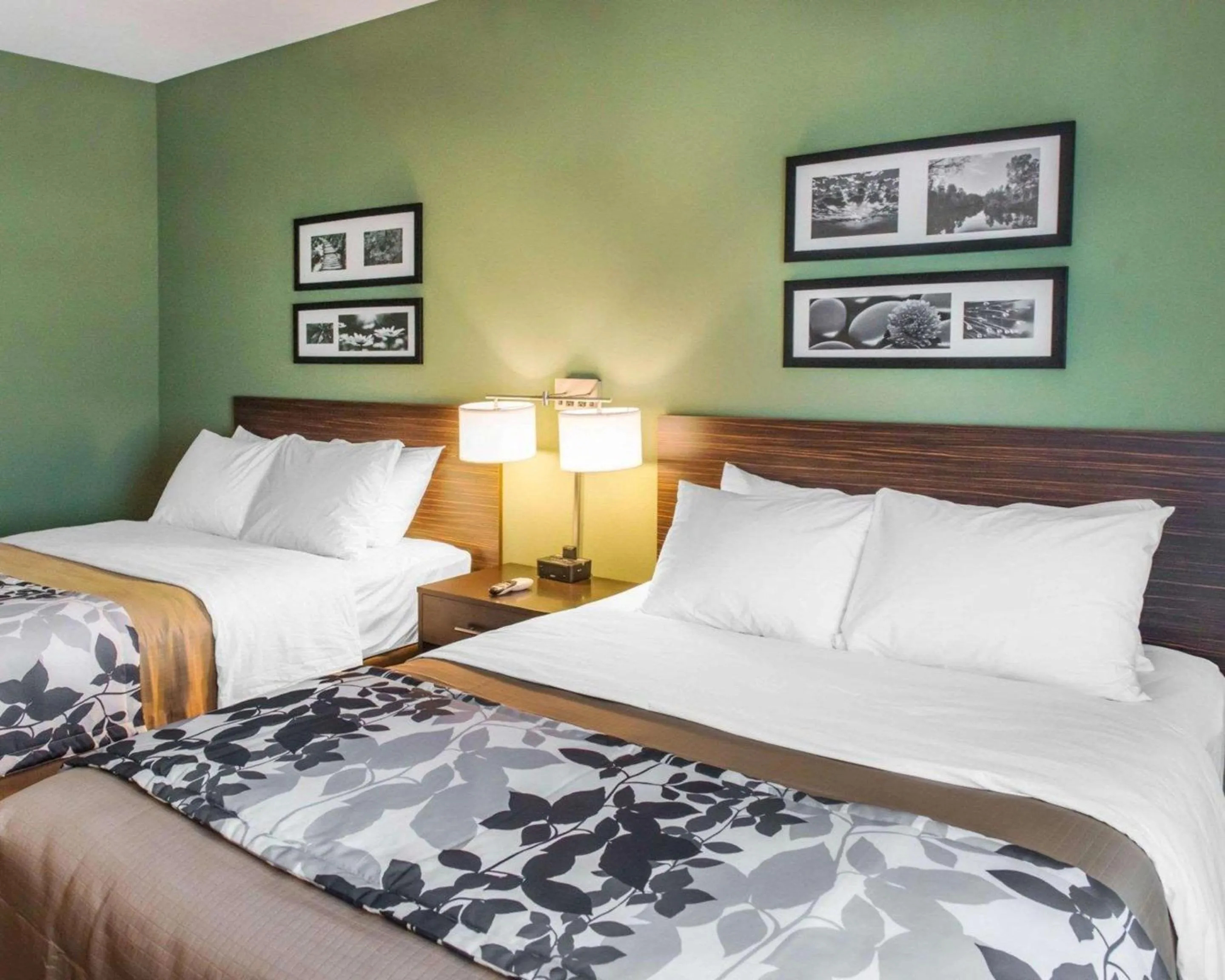 Queen Room with Two Queen Beds - Non-Smoking in Sleep Inn & Suites Defuniak Springs - Crestview