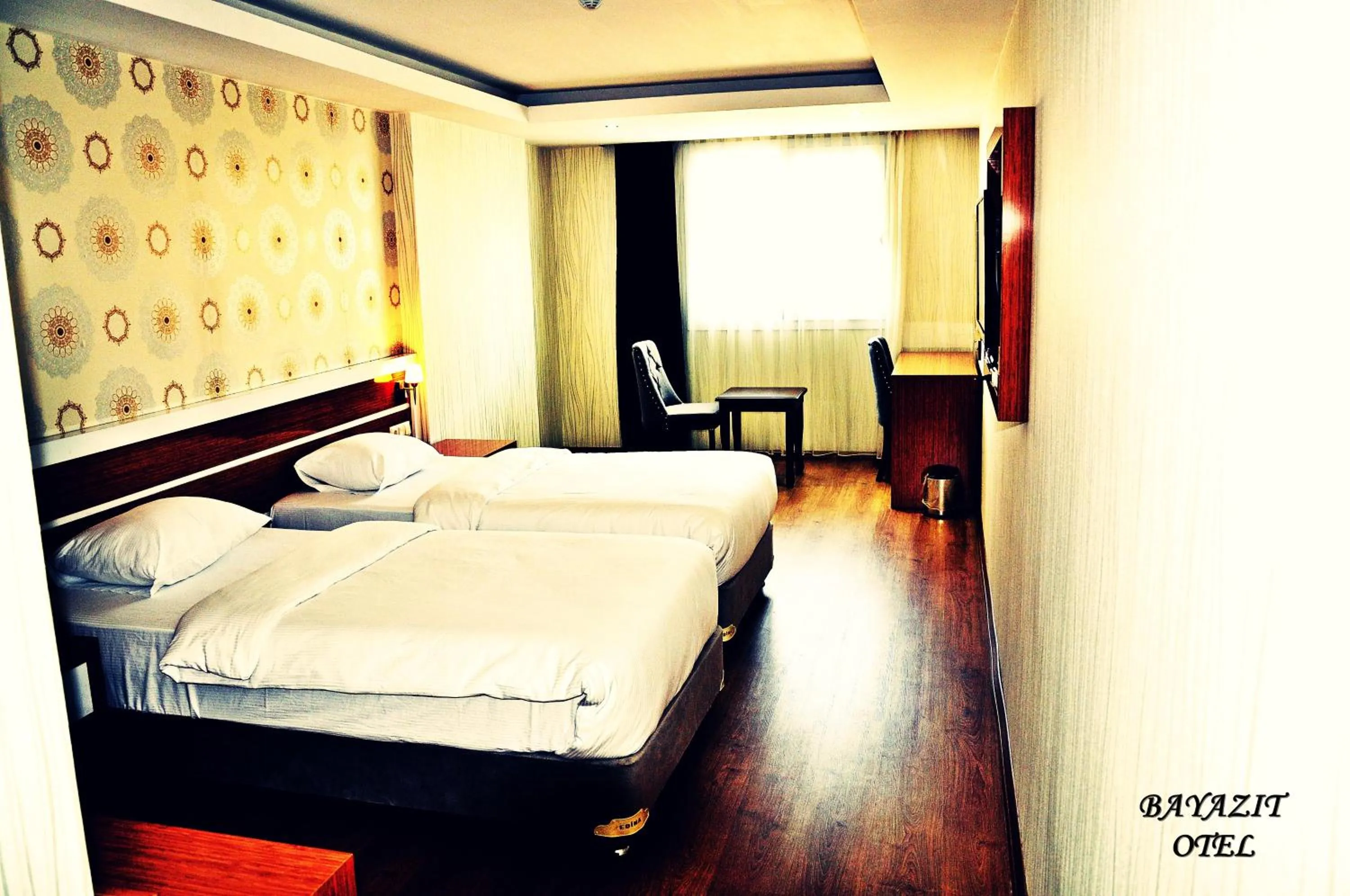 Double or Twin Room - single occupancy in Bayazıt Hotel