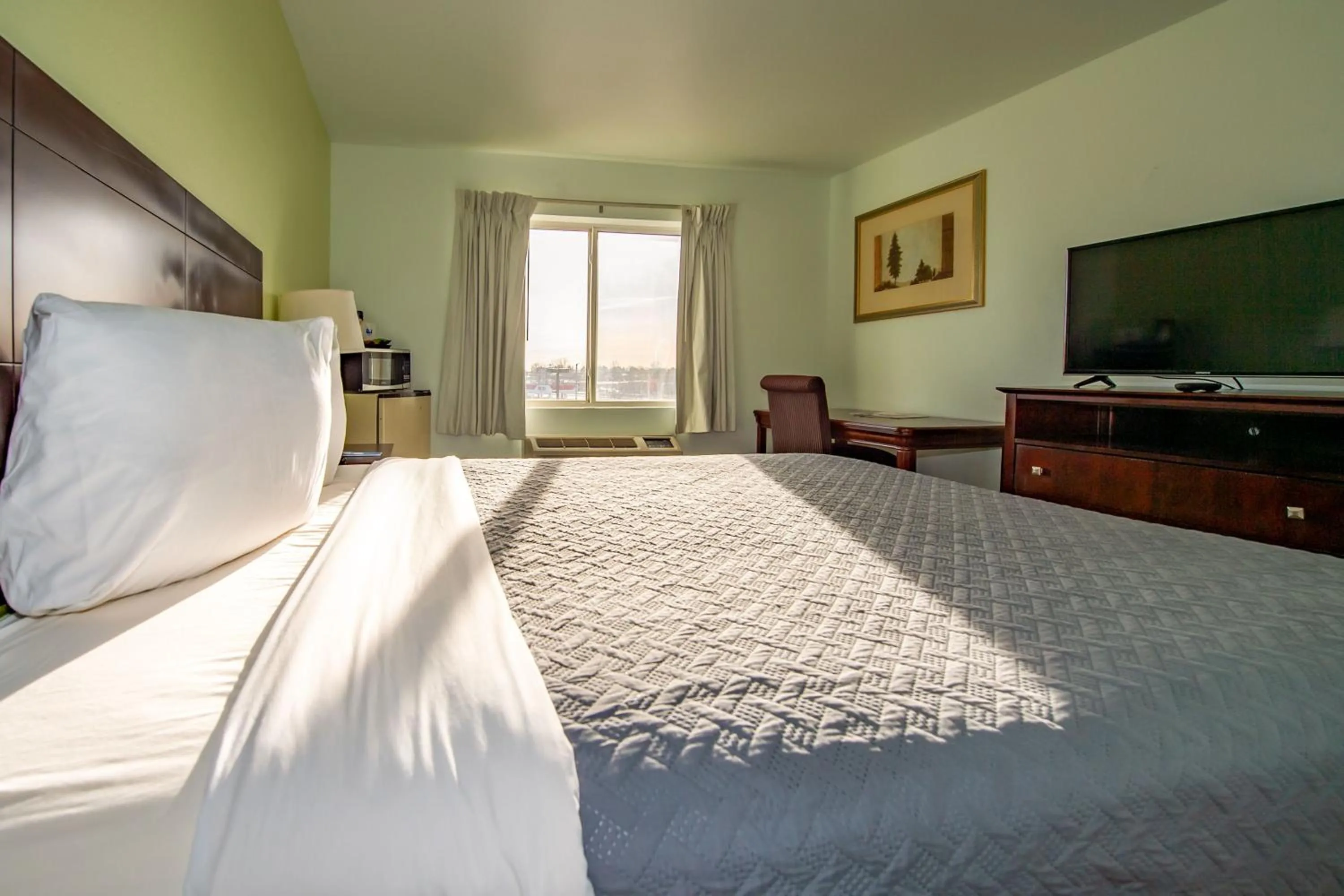 Superior Queen Room - Non-Smoking in Rodeway Inn Central Colorado Springs