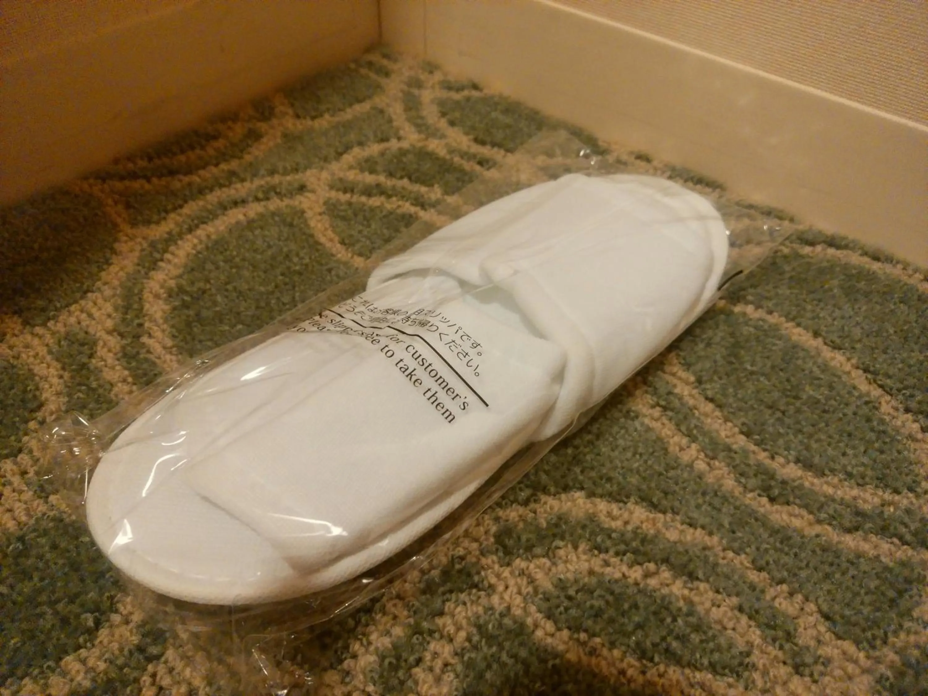 Superior Double Room - single occupancy - Non-Smoking in JR Hotel Clement Tokushima