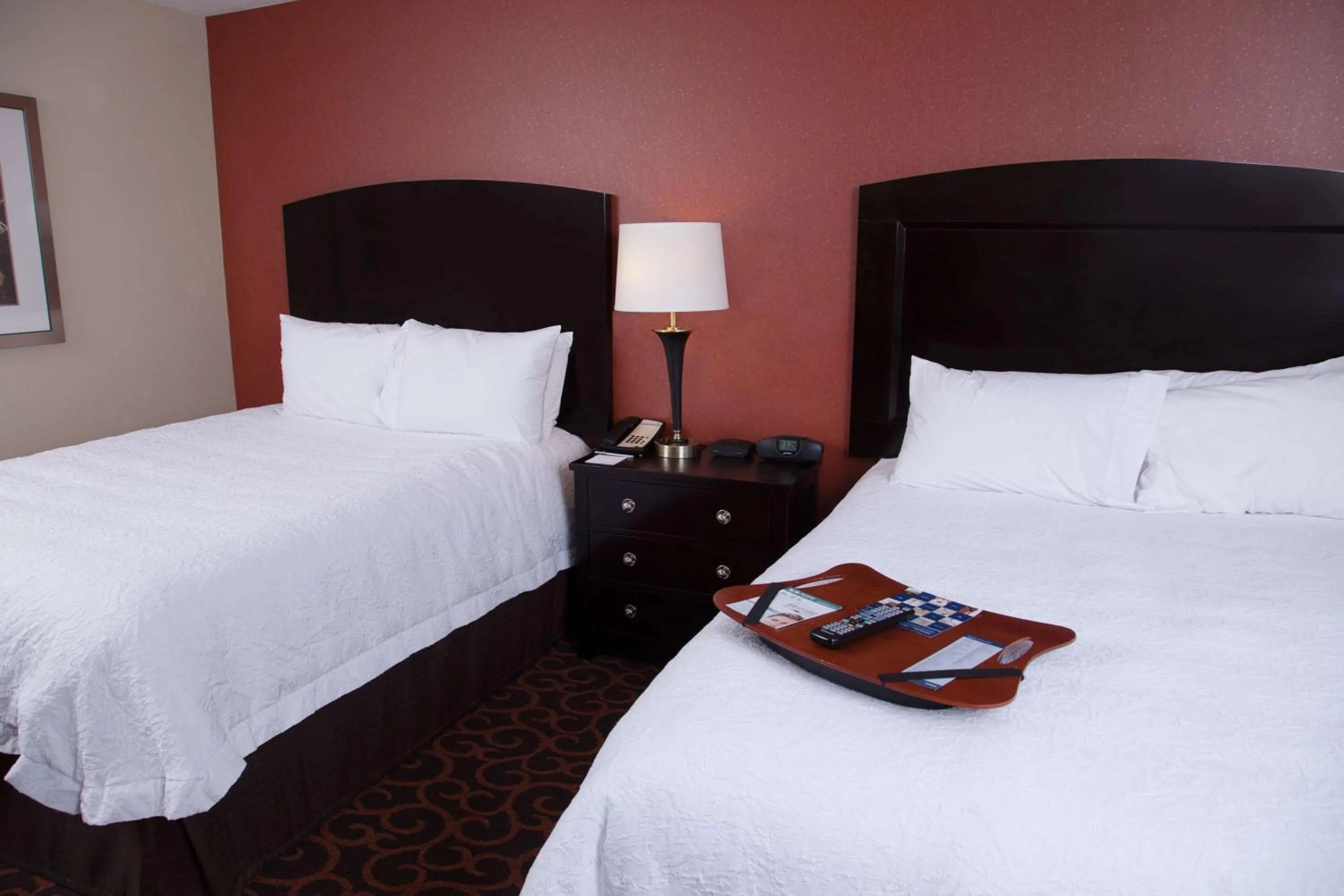 Queen Room with Two Queen Beds - Hearing Access/Non-Smoking in Hampton Inn & Suites Dickinson ND