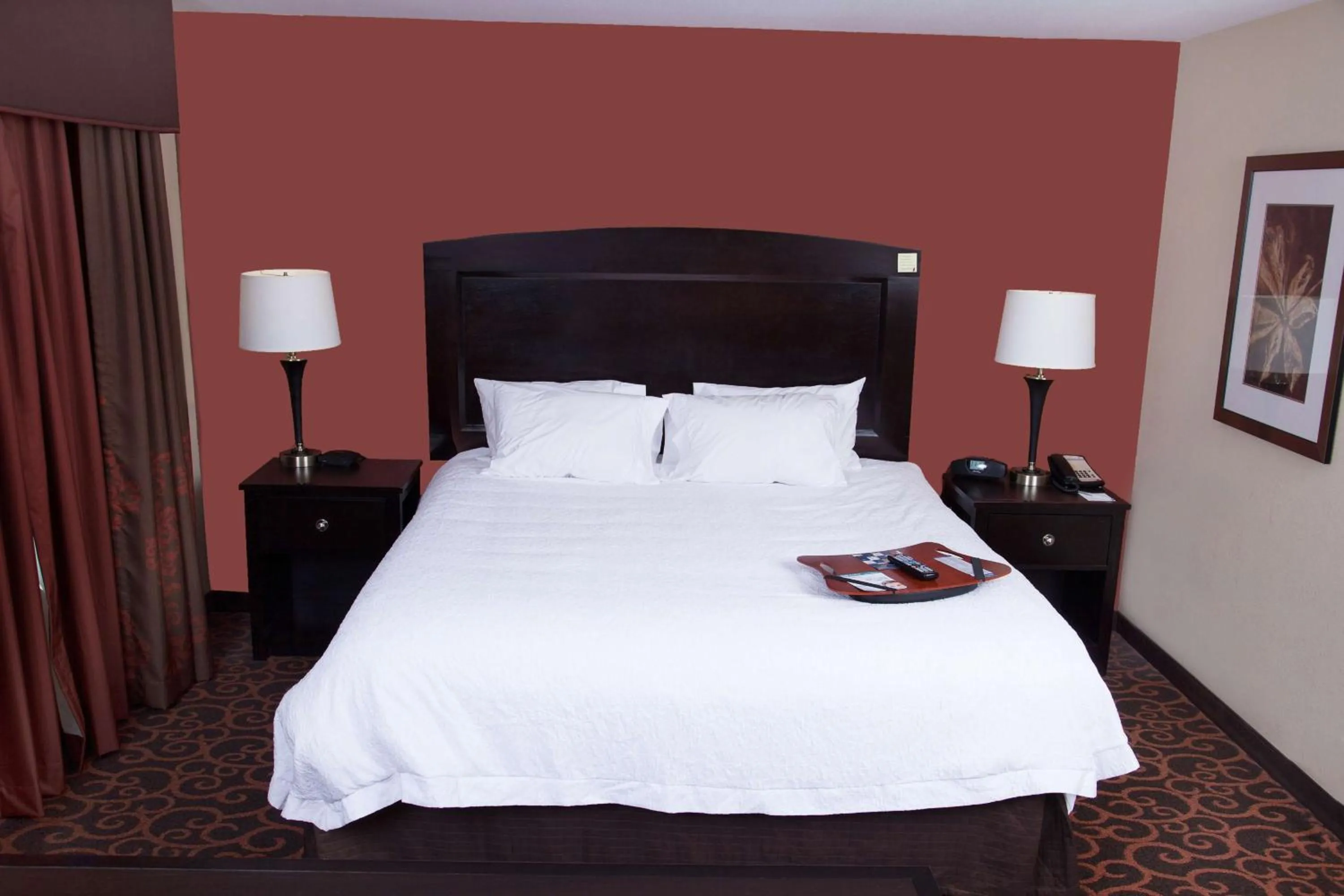 King Studio Suite - Non-Smoking in Hampton Inn & Suites Dickinson ND