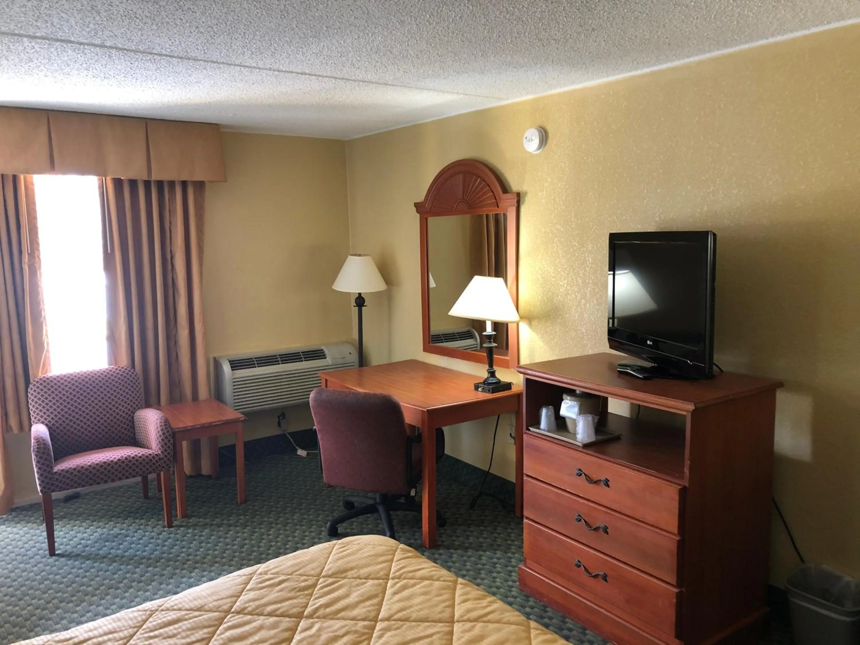 Standard King Room - Non-Smoking  in Rodeway Inn Joint Base Andrews Area