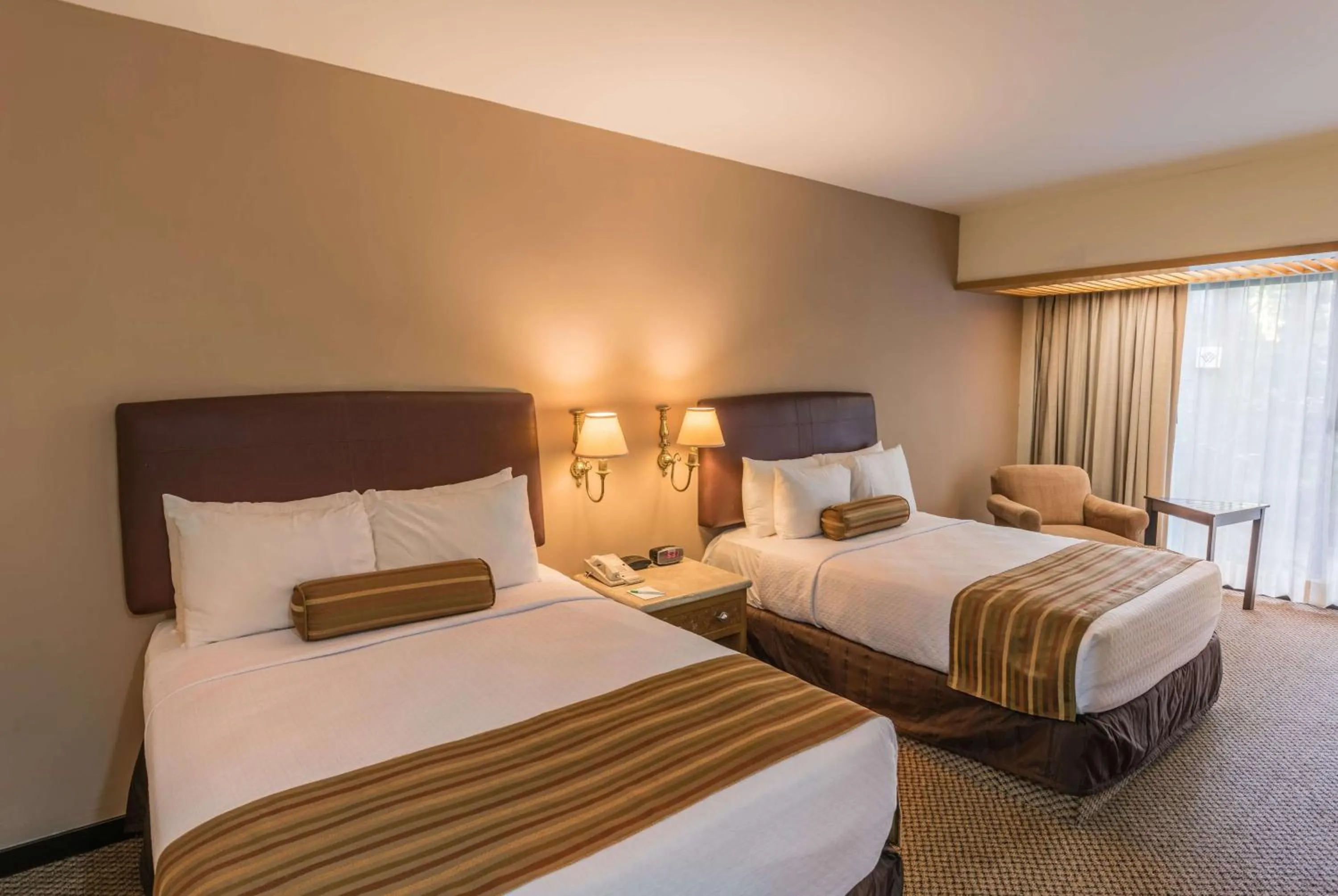 Two Queen Beds Club Garden in Wyndham Garden Guadalajara Expo Plaza del Sol