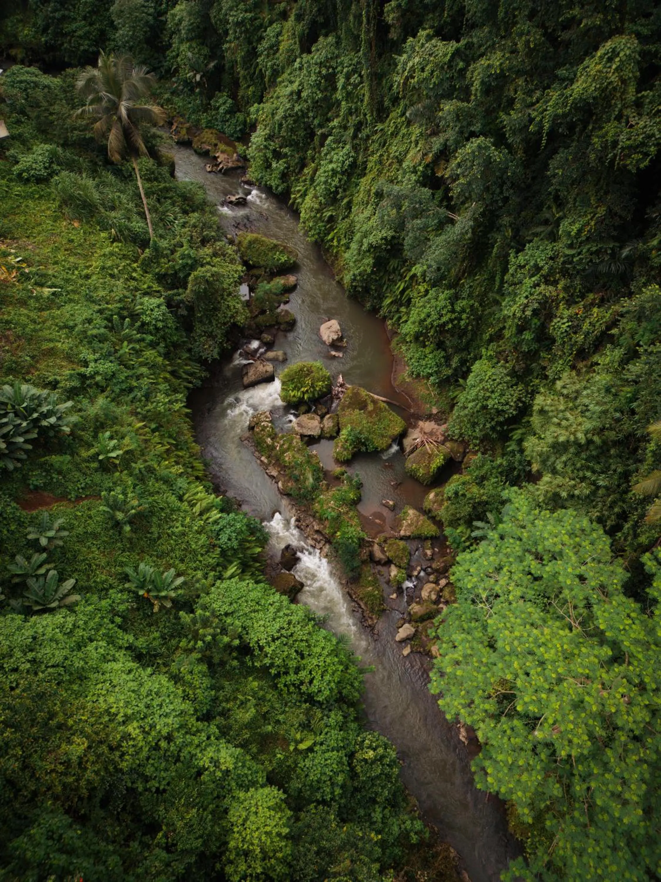Skylight Villa River View in Bumi Kinar Skylight