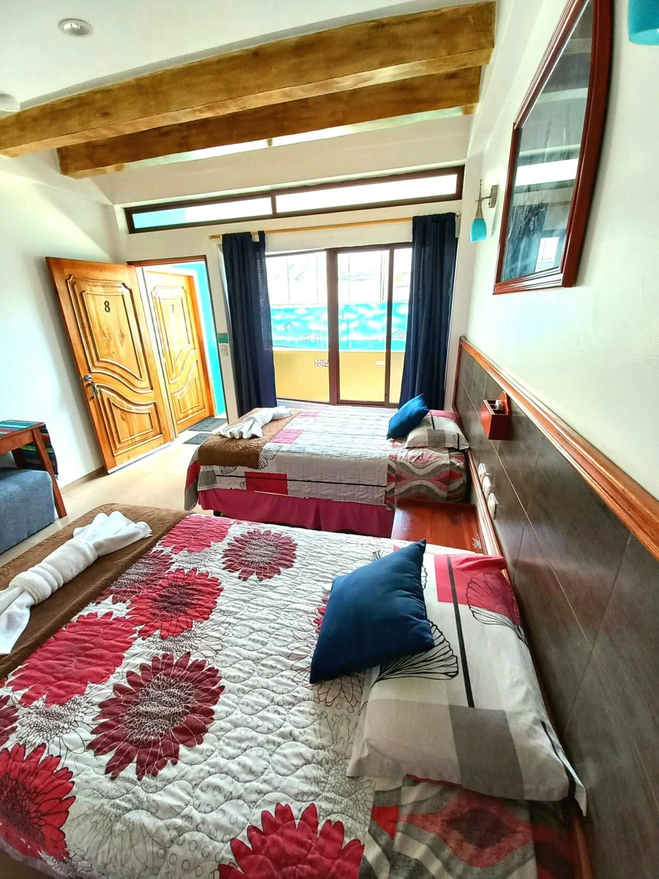 Twin Room - single occupancy in Galápagos Eco Friendly