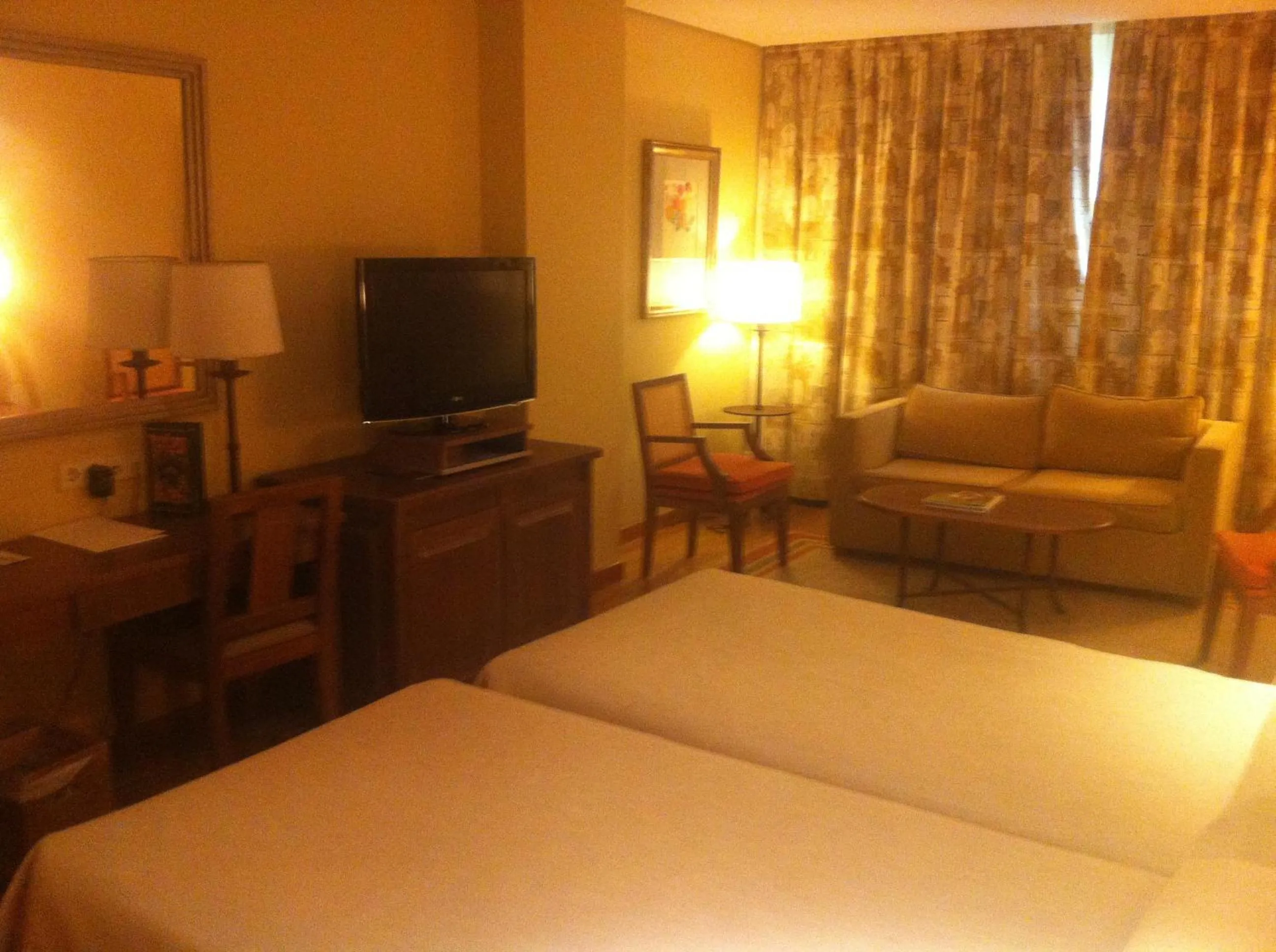 Standard Double Room (3 Adults) in Parador de Salamanca