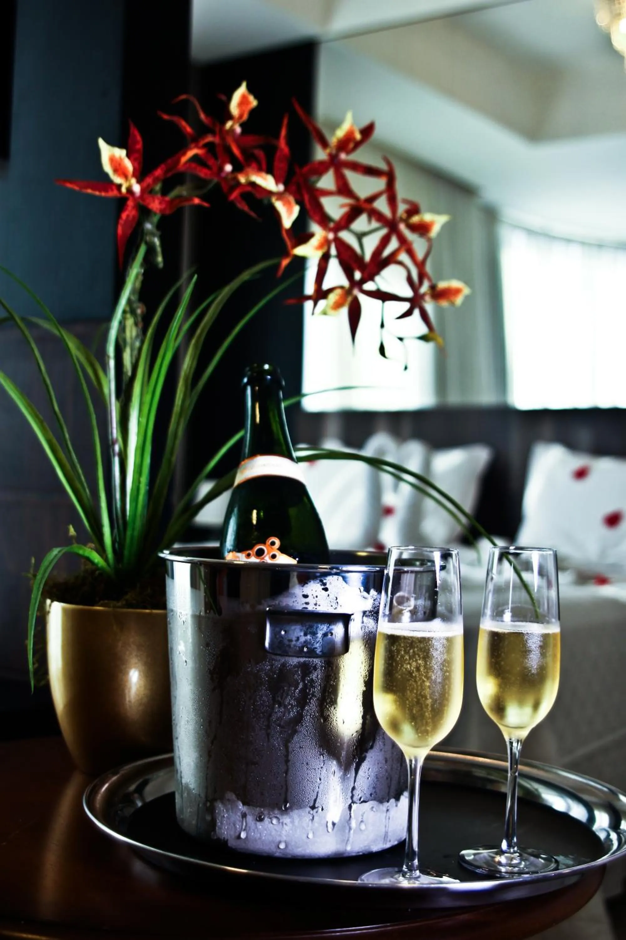 Suite - single occupancy in Blue Hill Hotel