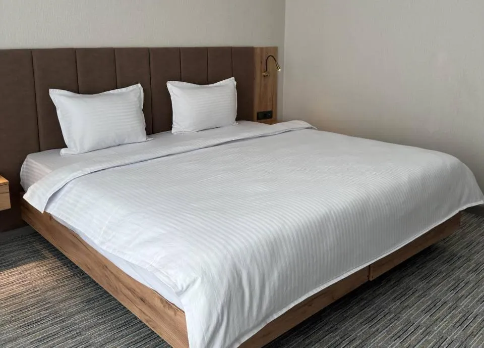 Double Room - single occupancy in Reikartz Hanzade Samarkand