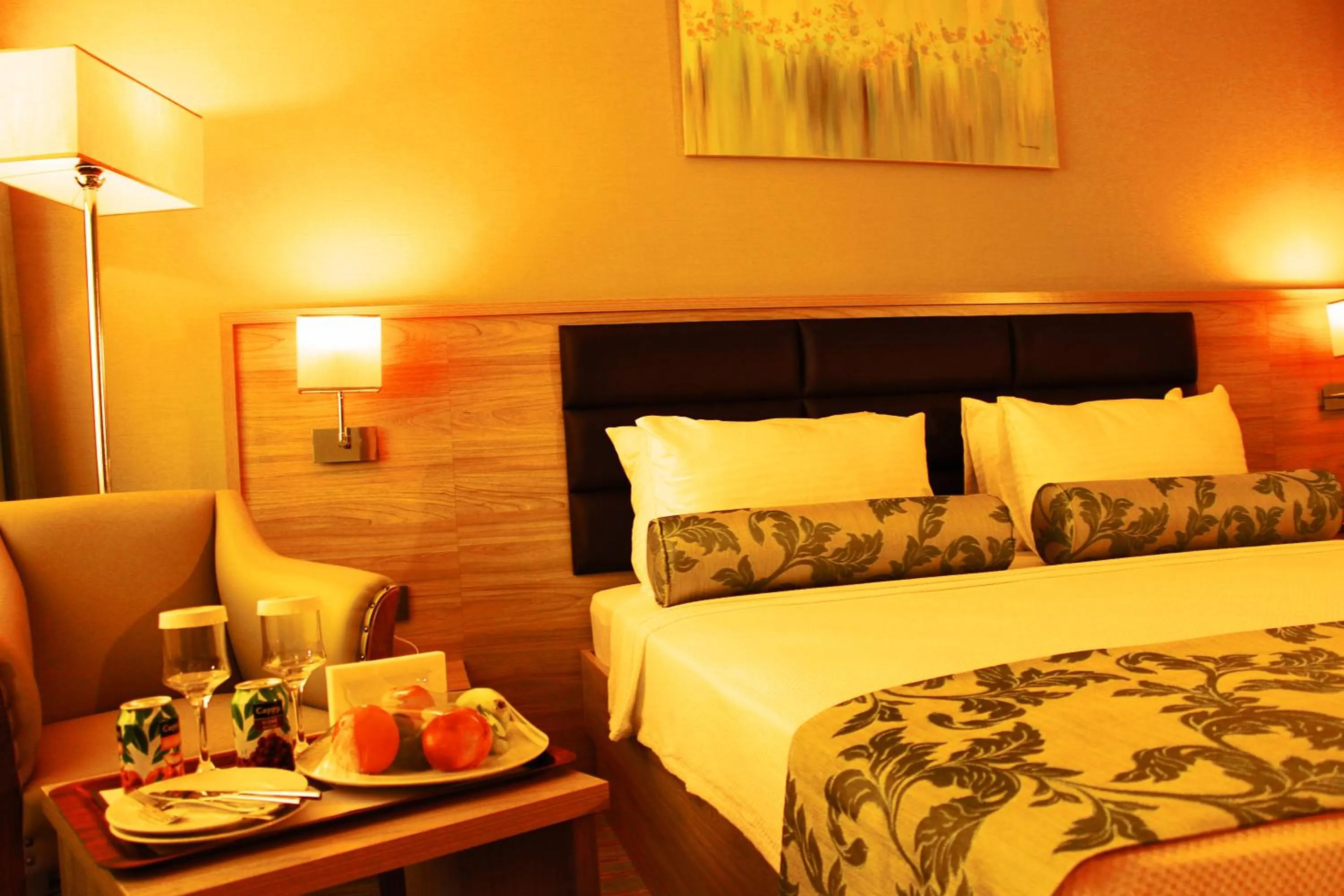 Deluxe King Room in Park Dedeman Elazığ