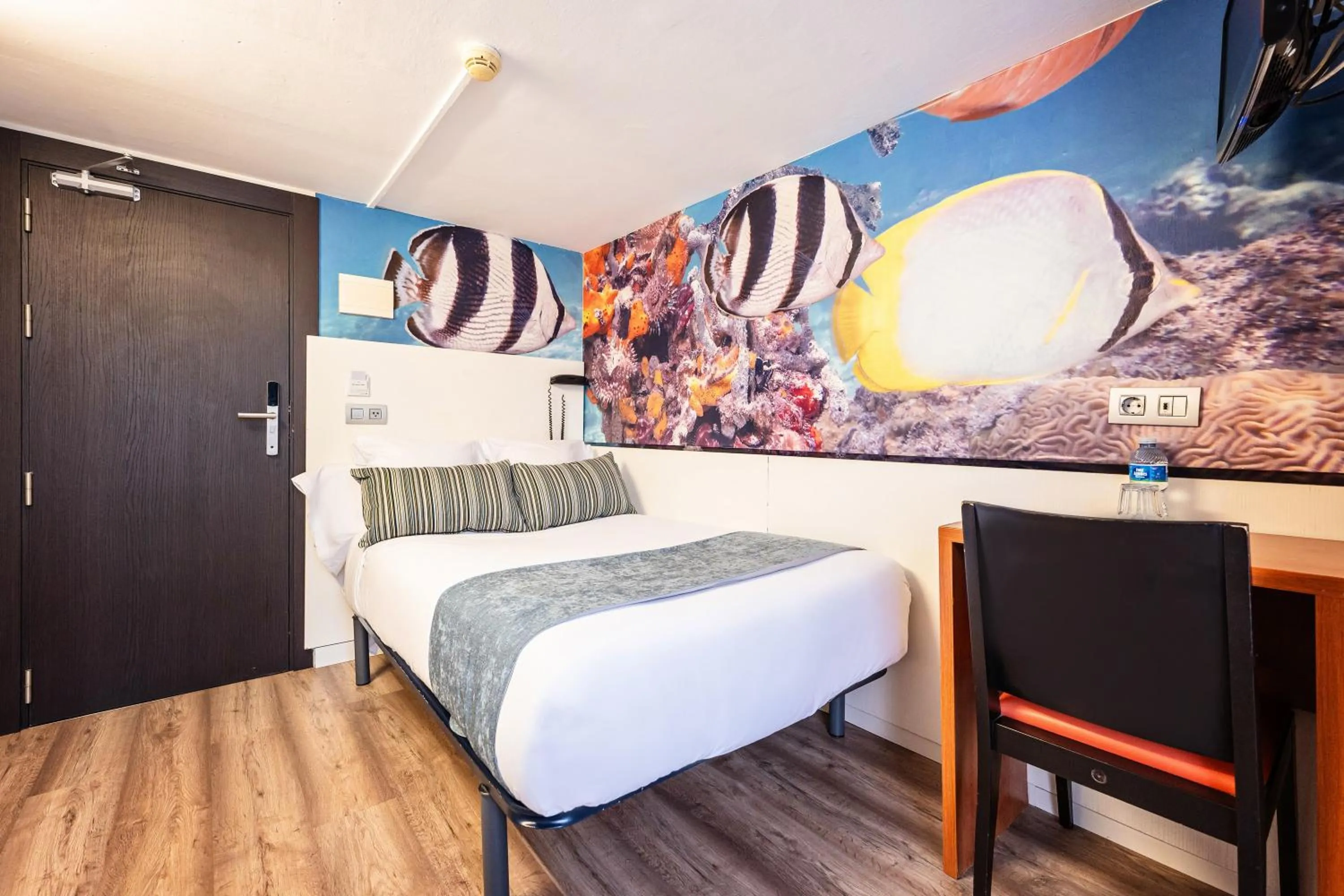 Single Room with Terrace in Standbyme Ramblas