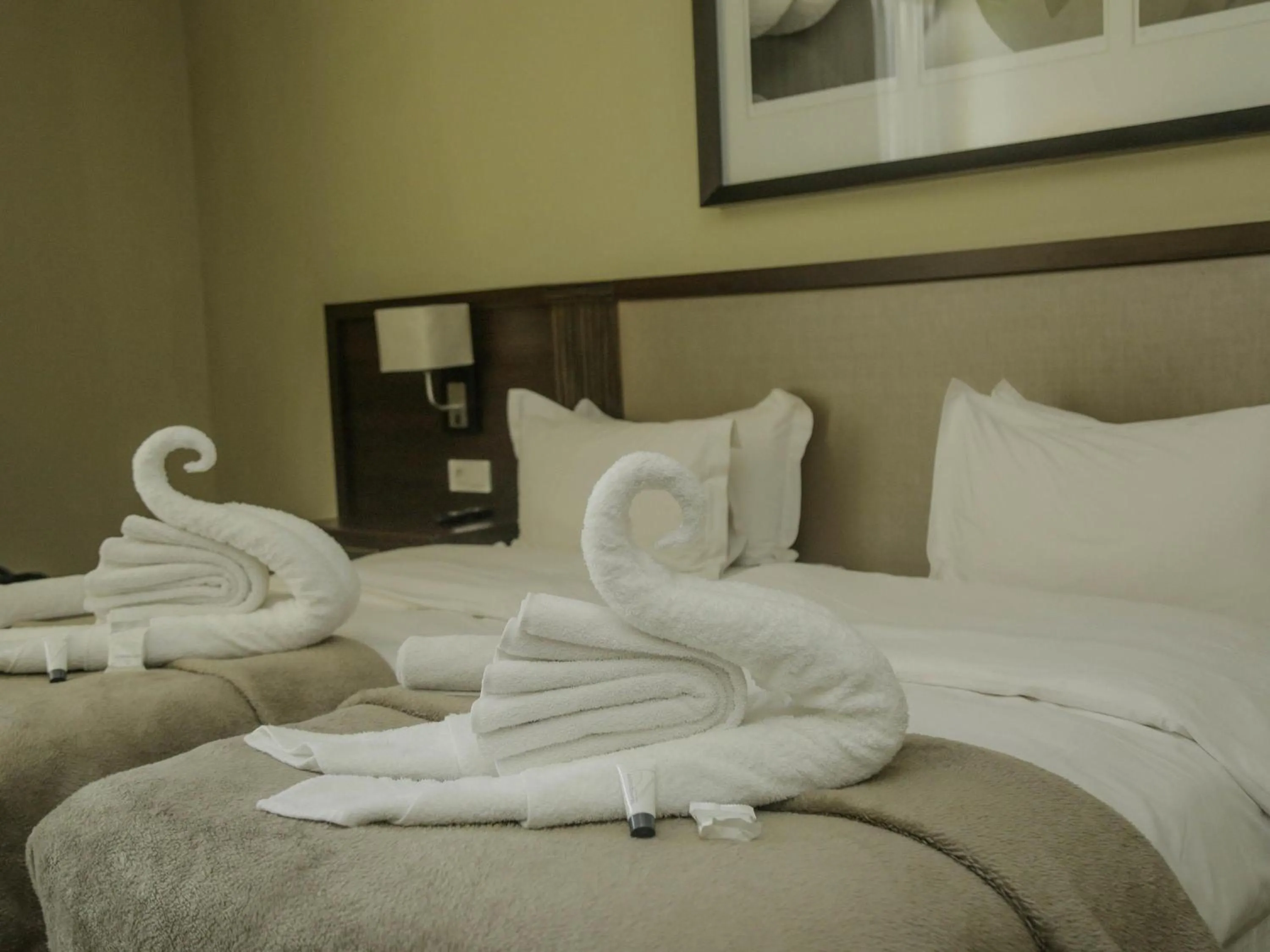 Classic Twin Room with Garden View in Pullman Lubumbashi Grand Karavia.