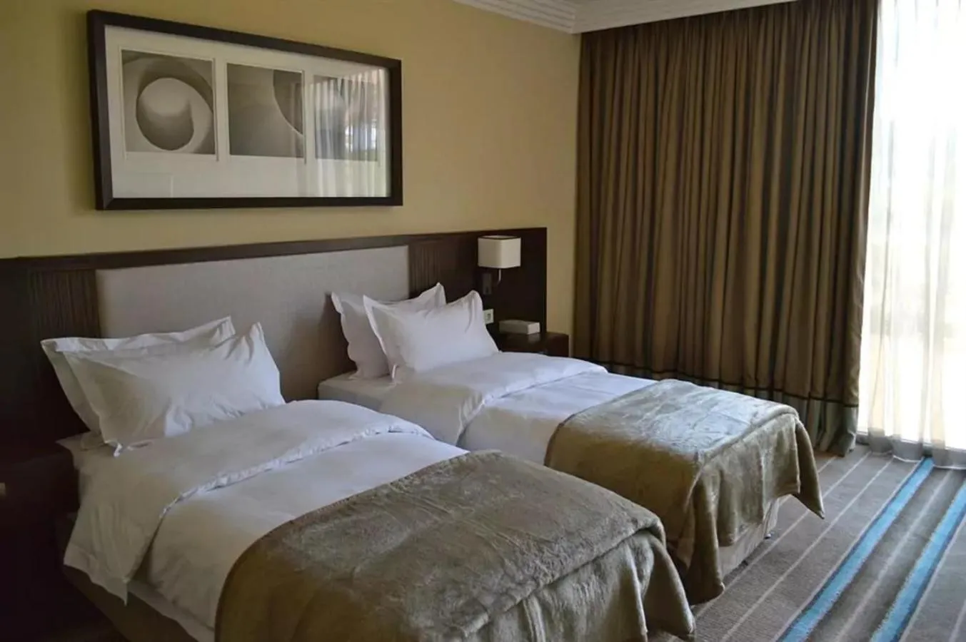 Classic Twin Room with Garden View in Pullman Lubumbashi Grand Karavia.