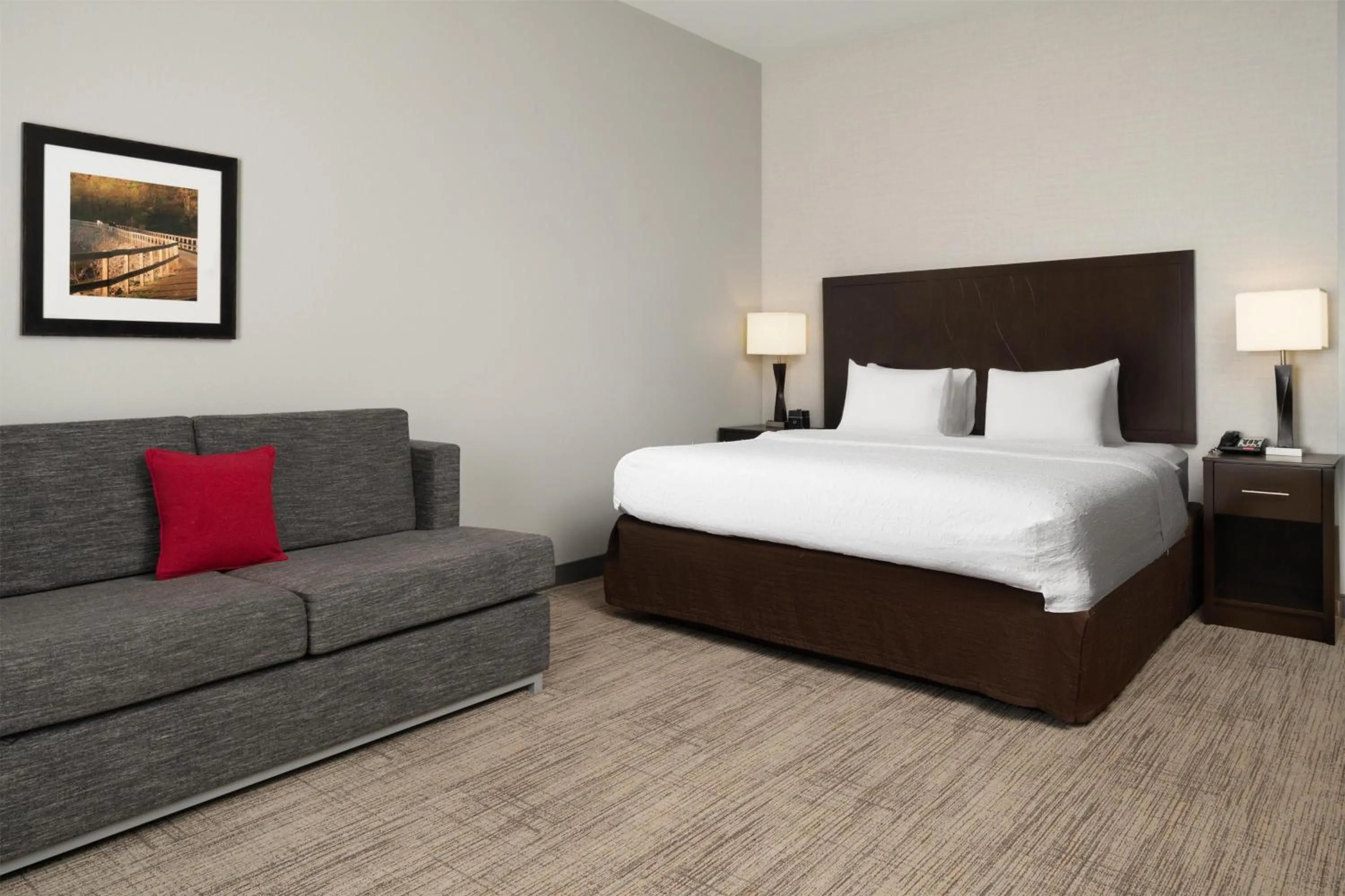 King Room with Sofa Bed - Non-Smoking in Hampton Inn Fairmont