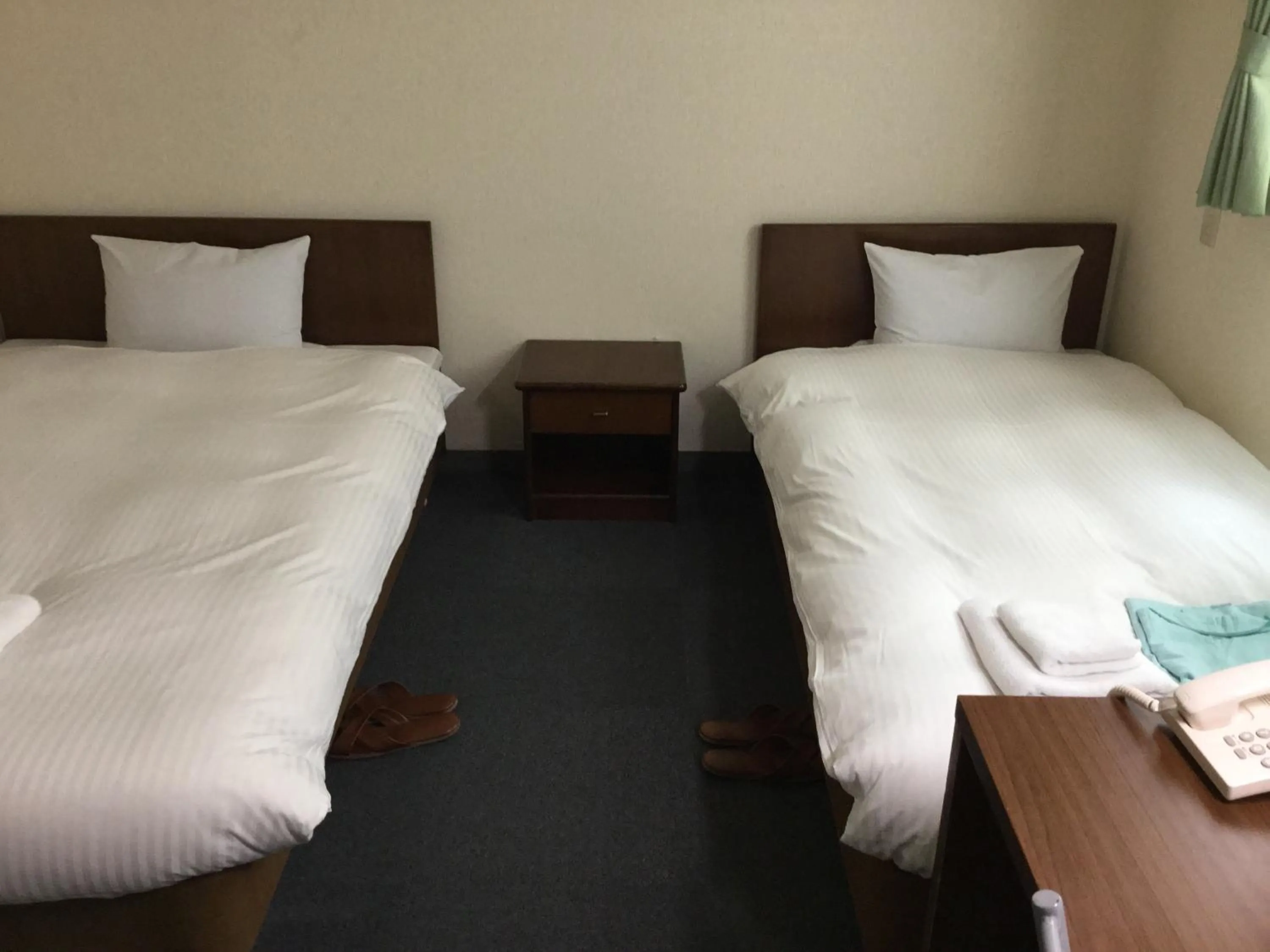 Twin Room - Smoking in Hotel Green Palace