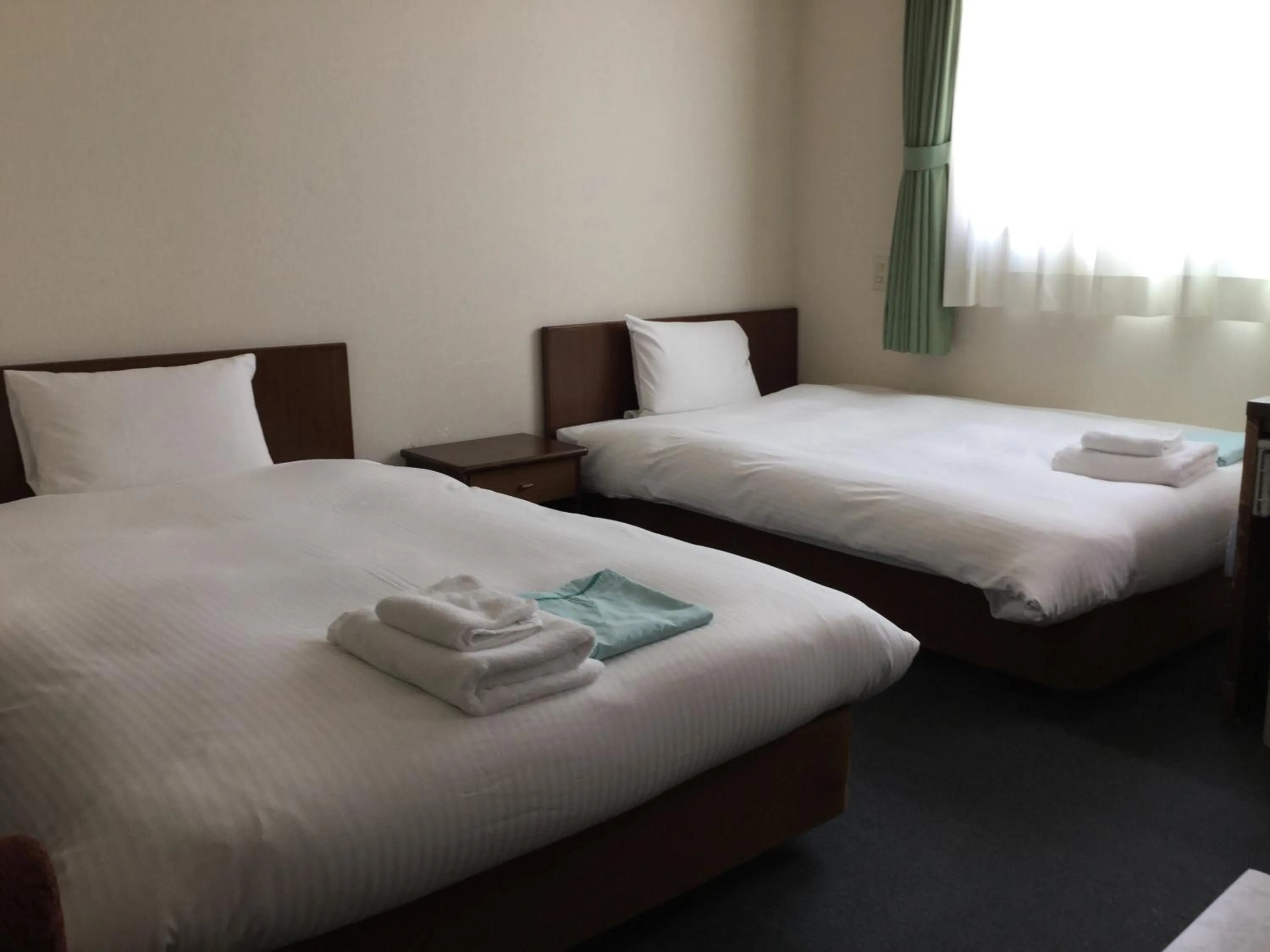 Twin Room - Non-Smoking in Hotel Green Palace